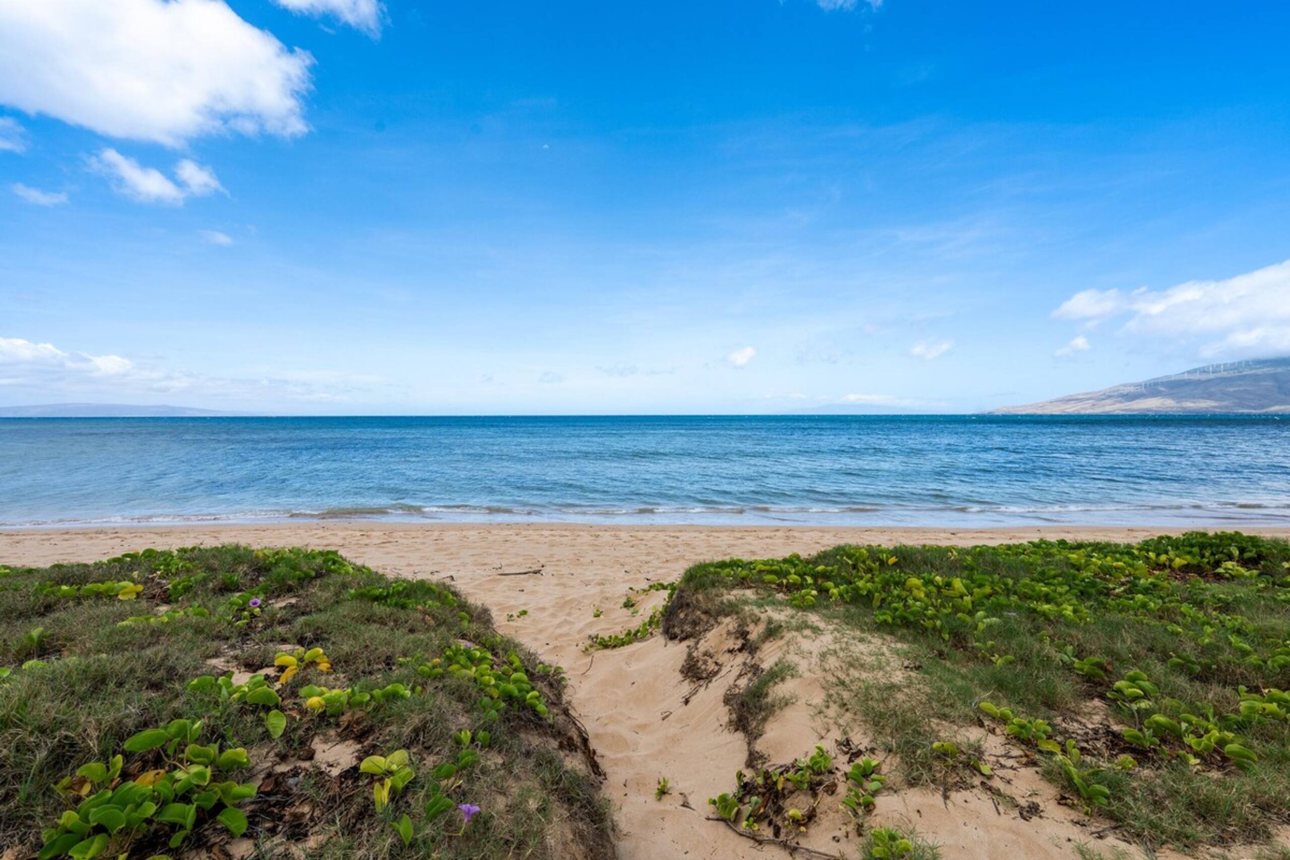 Bright 2bd Near Beach I Kihei Gardens F202 - Photo 24