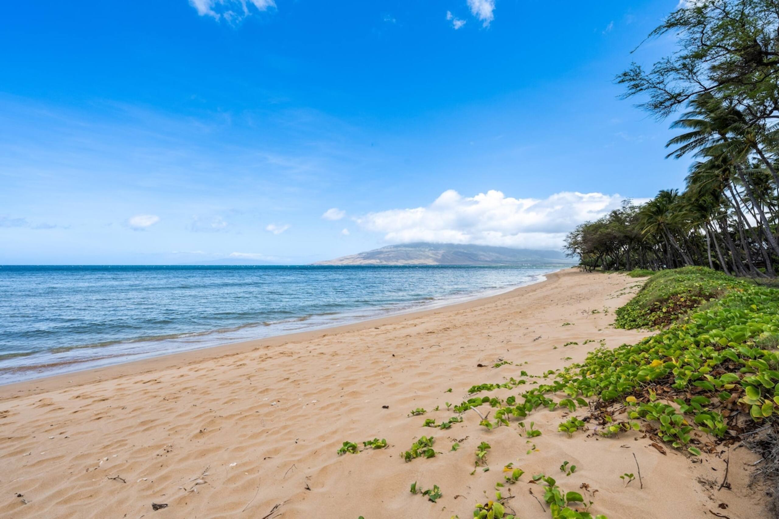 Bright 2bd Near Beach I Kihei Gardens F202 - Photo 4