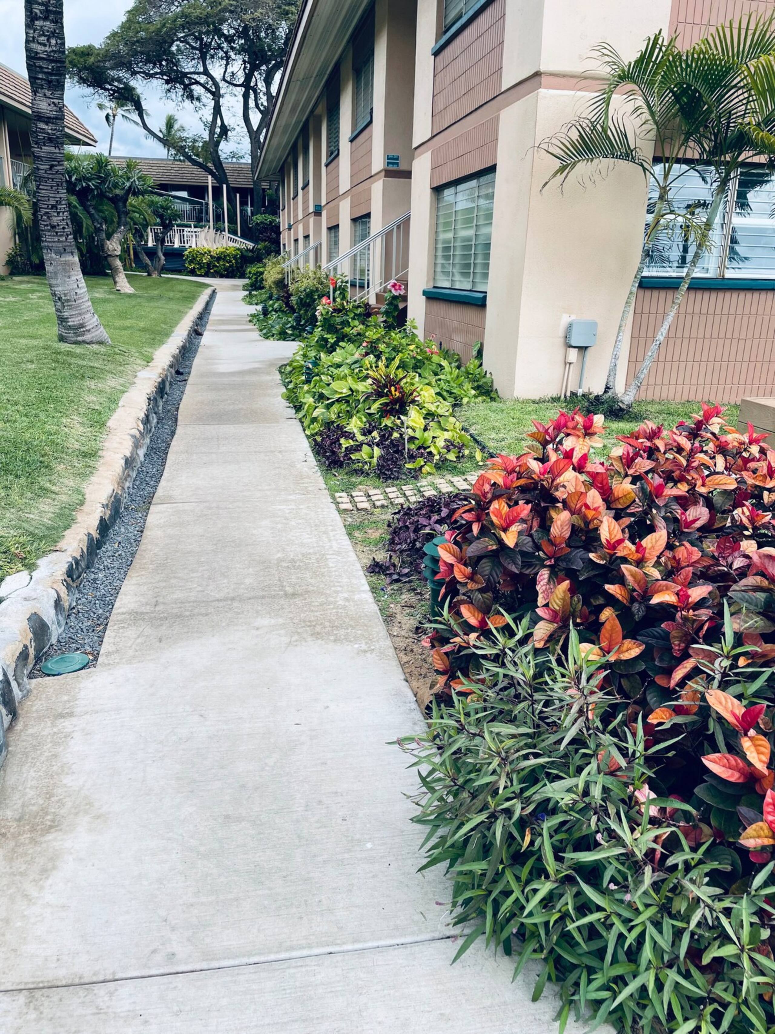 Next to Beach, Foods & Shops - Updated w/ View! - Photo 30