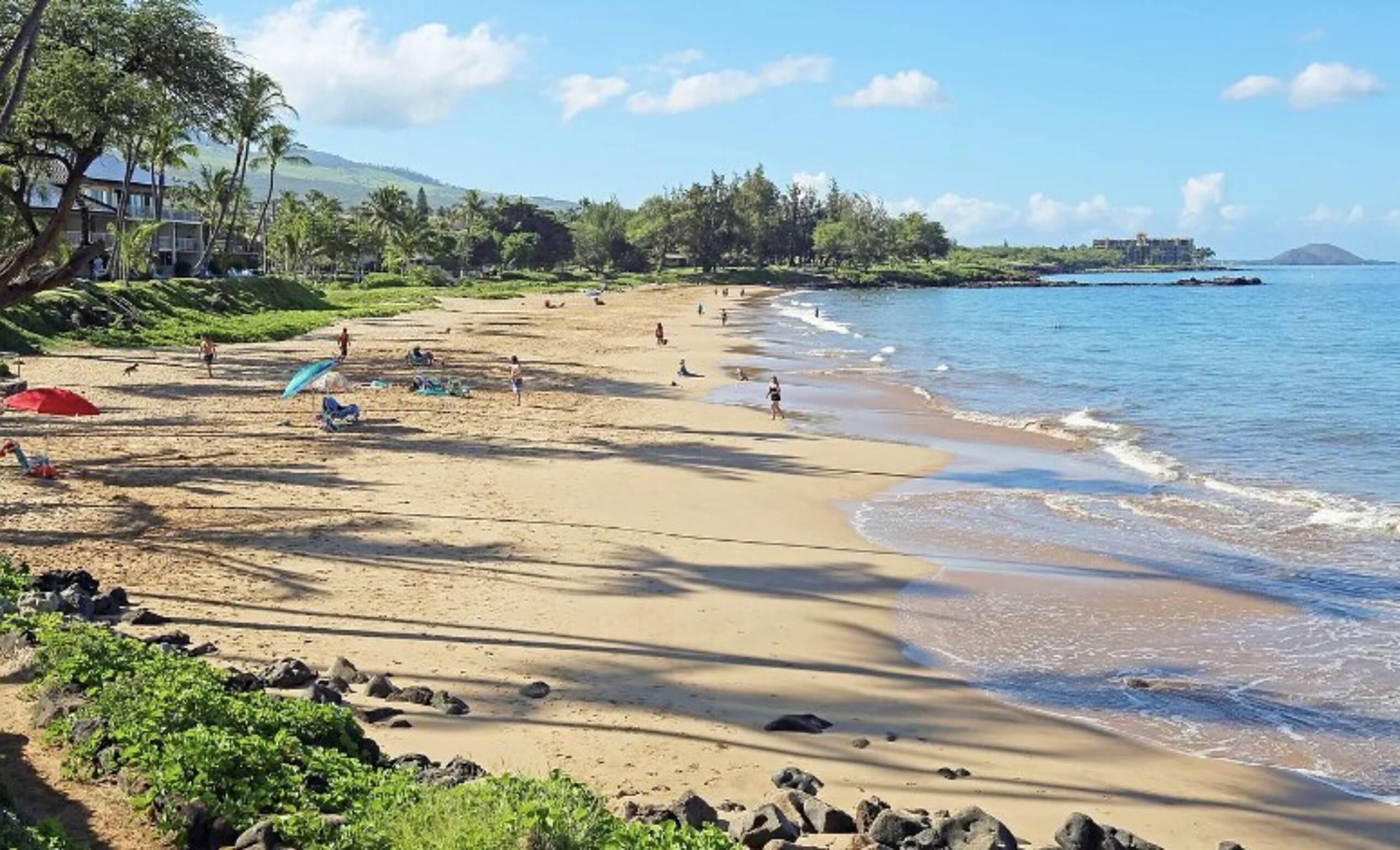 Next to Beach, Foods & Shops - Updated w/ View! - Photo 44