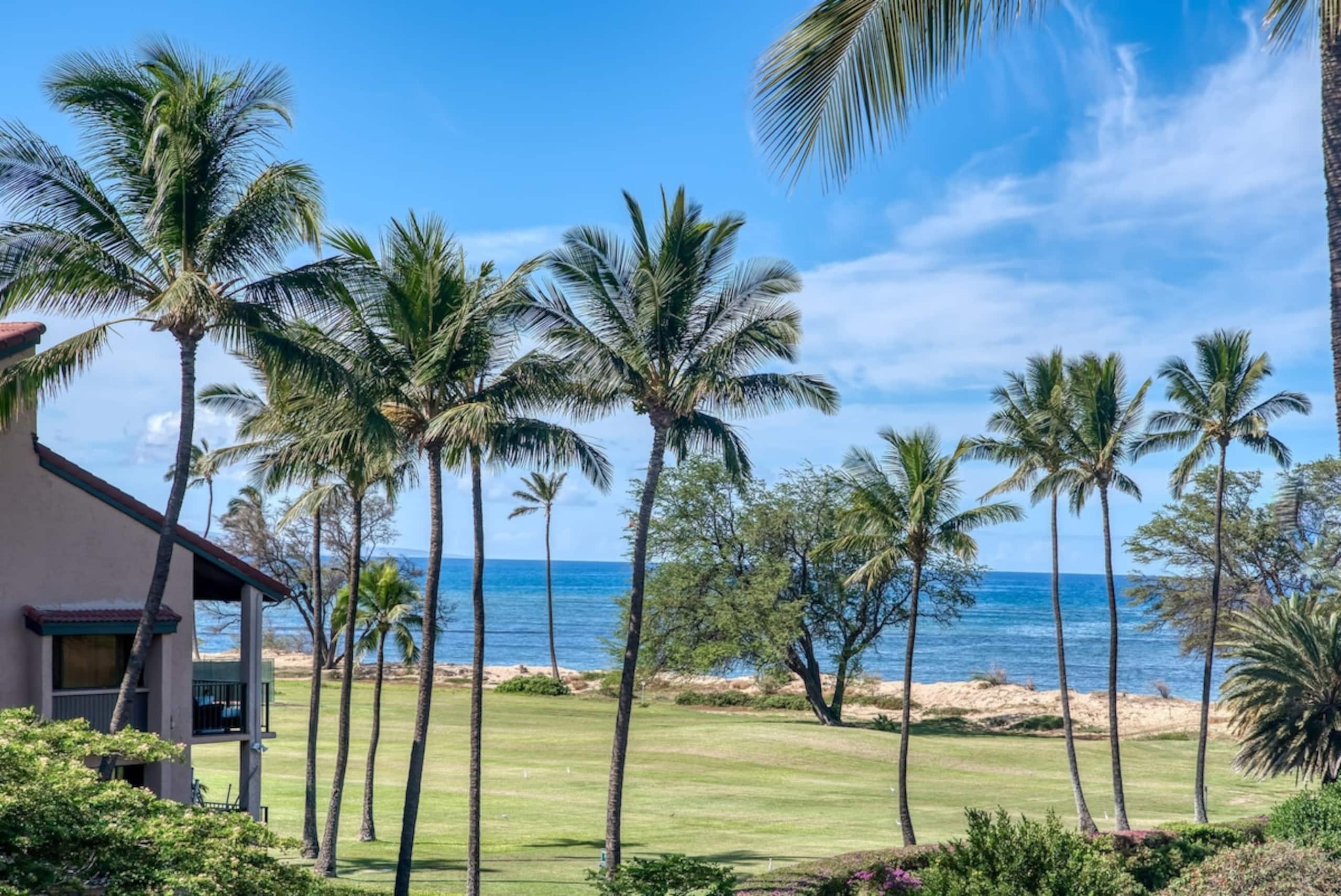 Sunny and Soothing Oceanfront Vistas - Photo 17