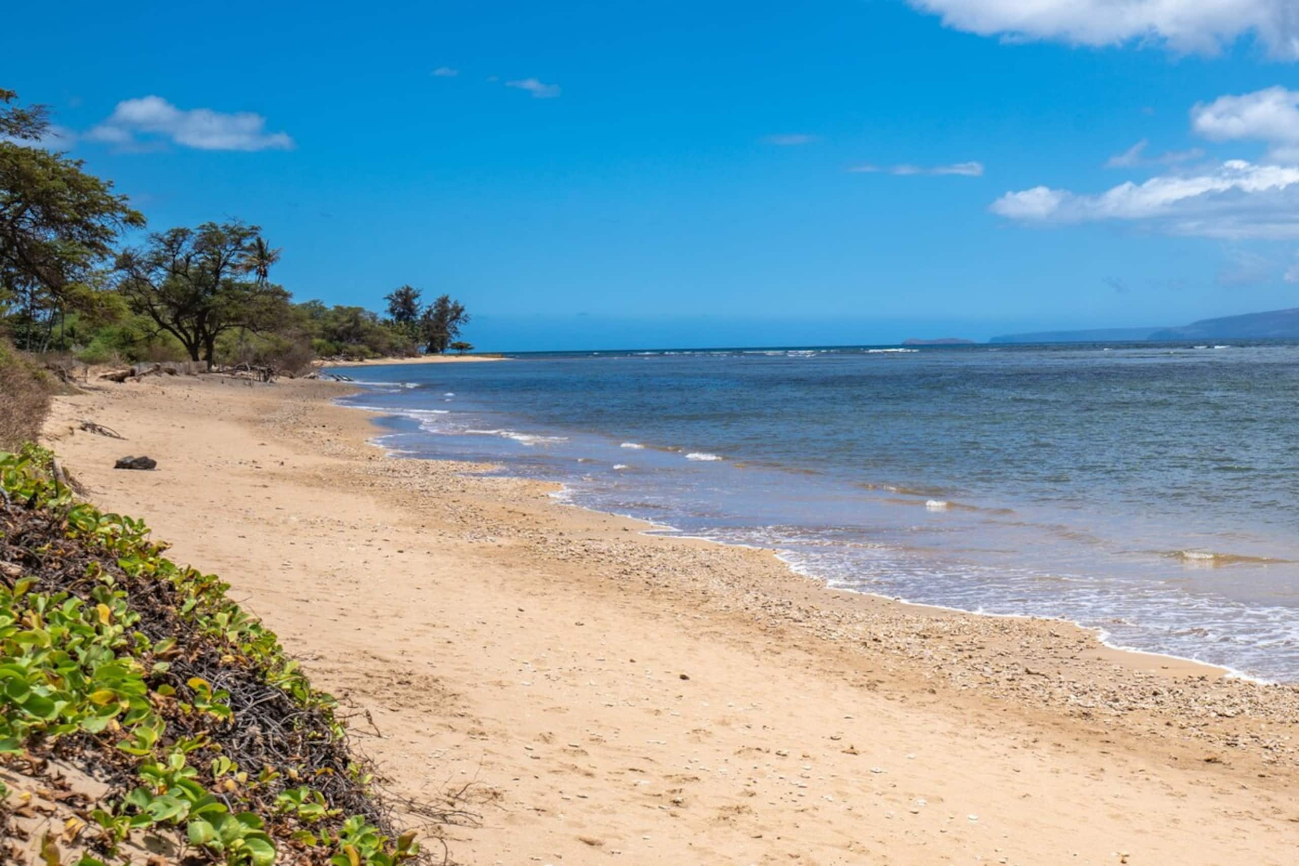 Sunny and Soothing Oceanfront Vistas - Photo 29
