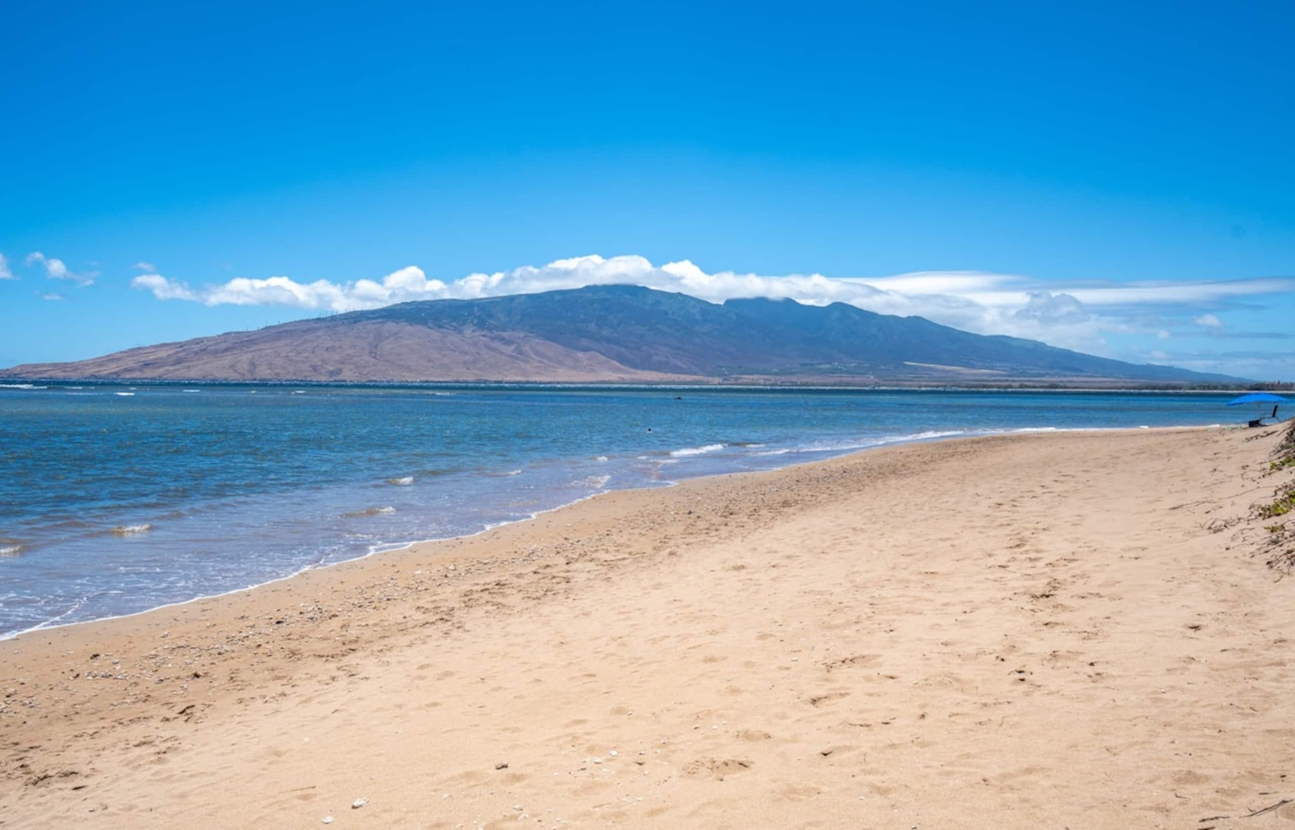Sunny and Soothing Oceanfront Vistas - Photo 30