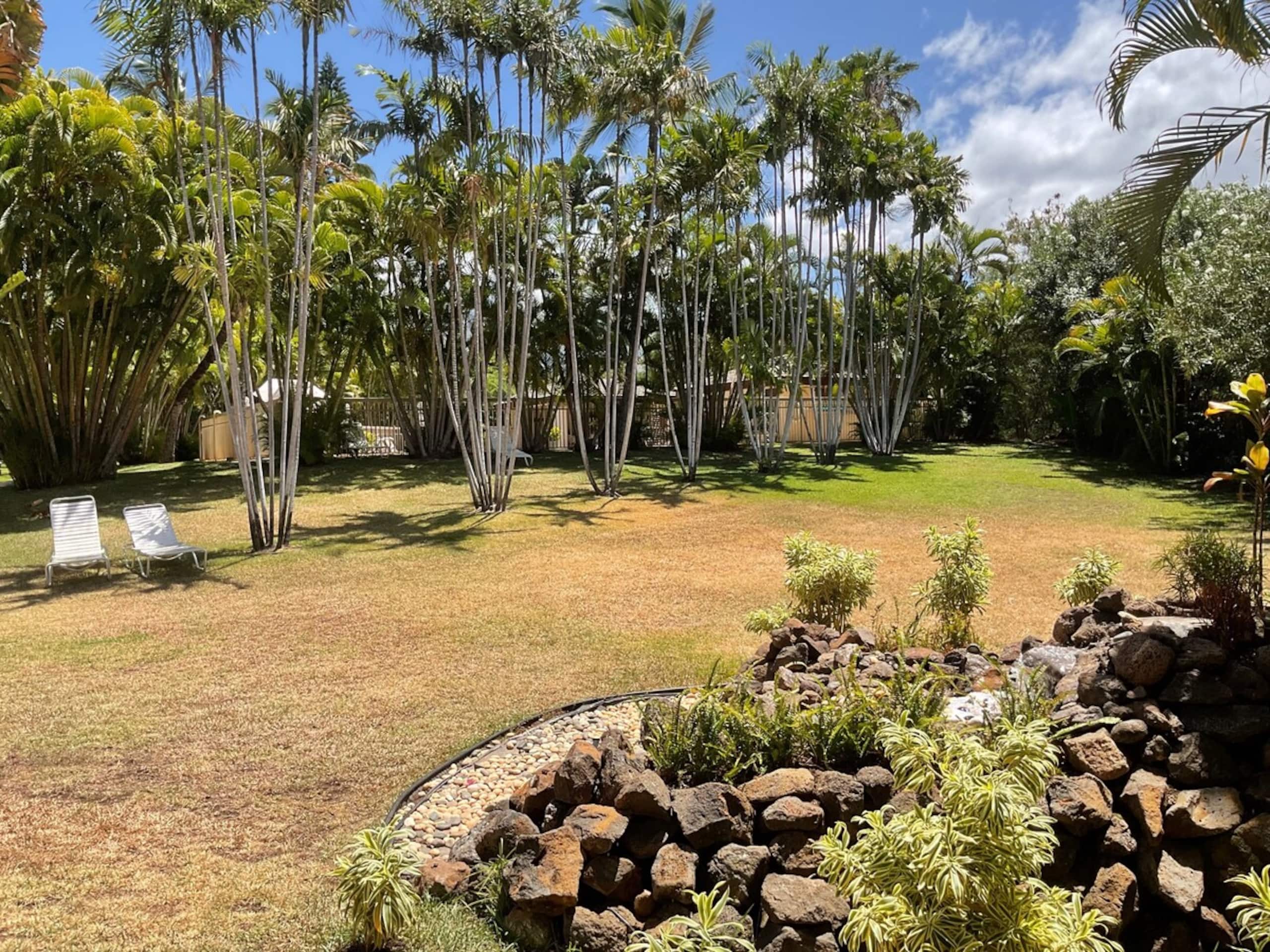 Spring Special / One Bedroom- Closest to beach! - Photo 26