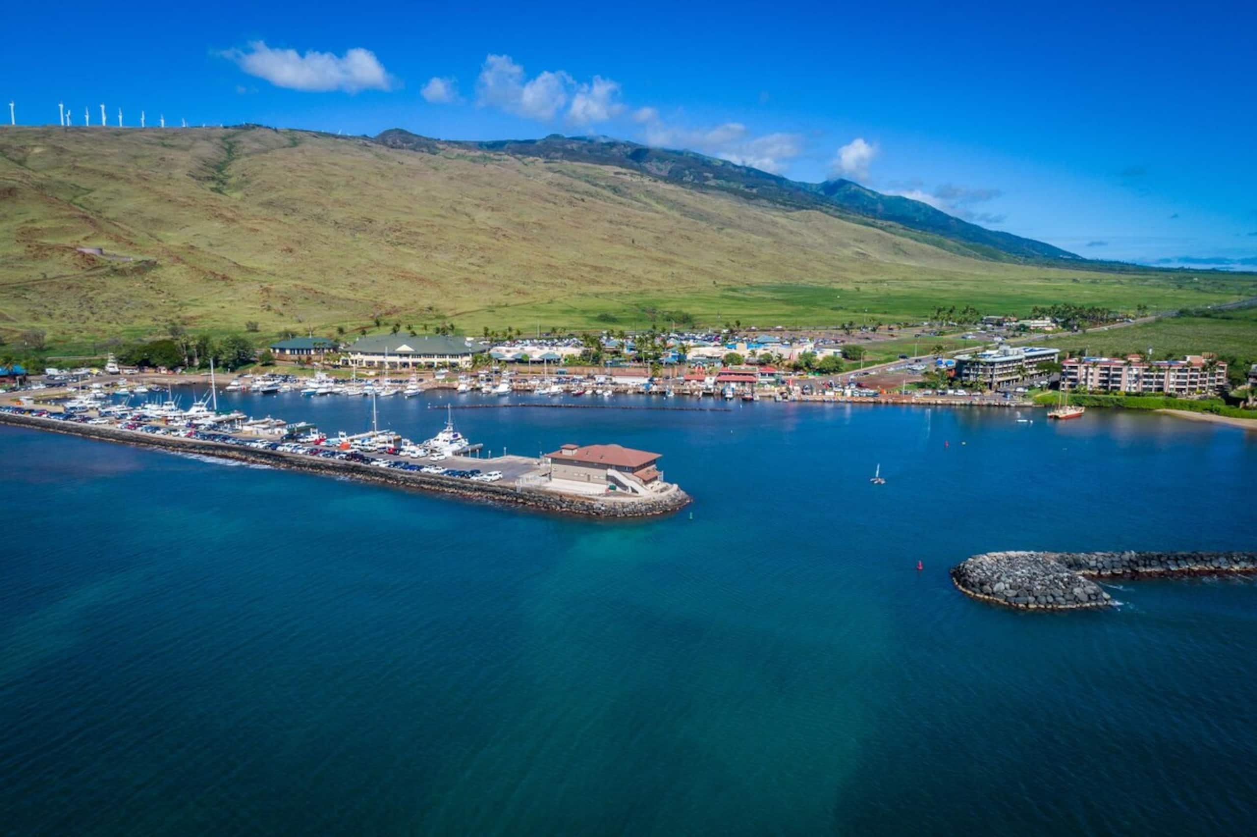 Stunning Oceanfront 1bd - Maalaea Kai 315 - Photo 52