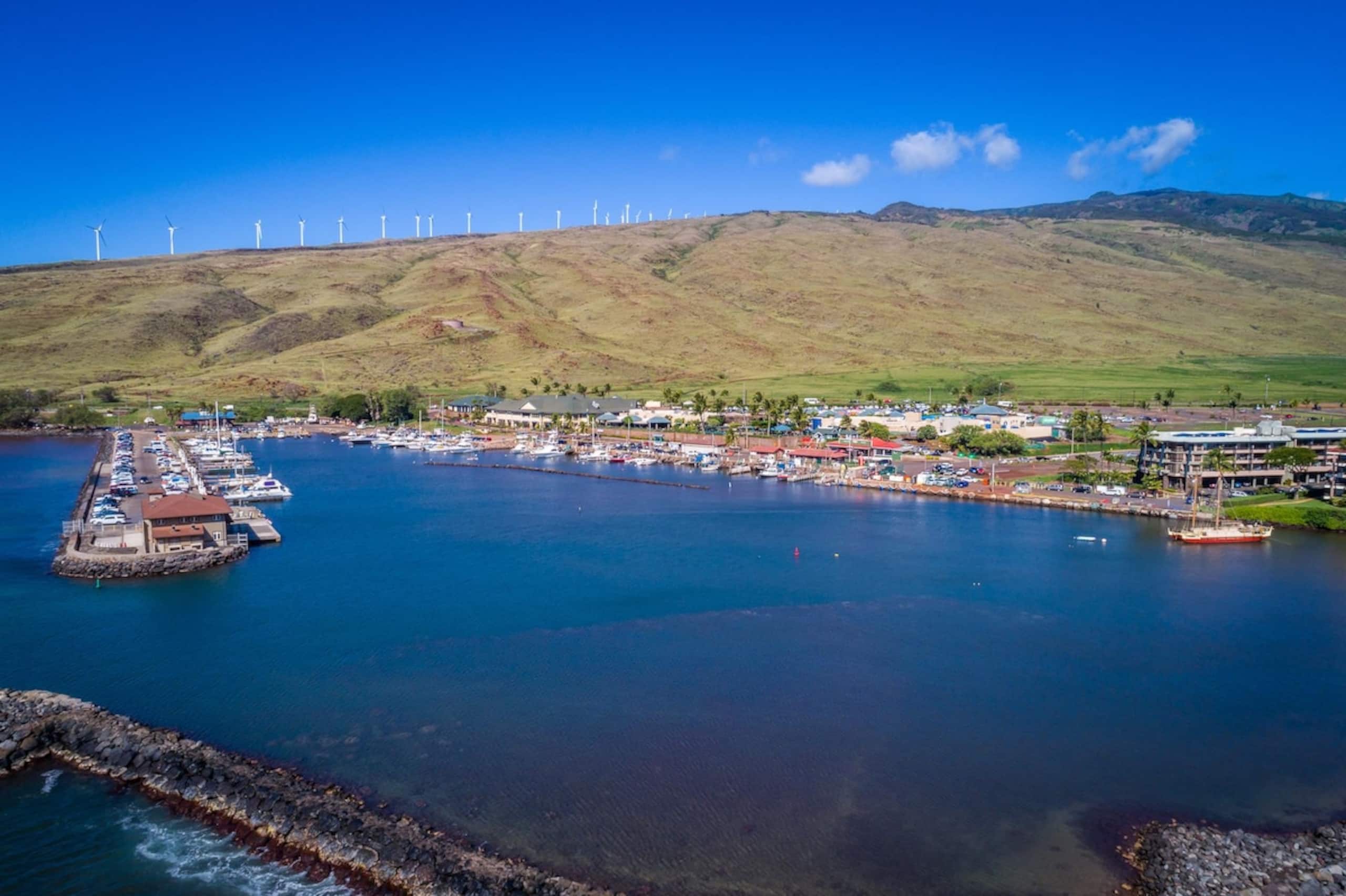 Stunning Oceanfront 1bd - Maalaea Kai 315 - Photo 55