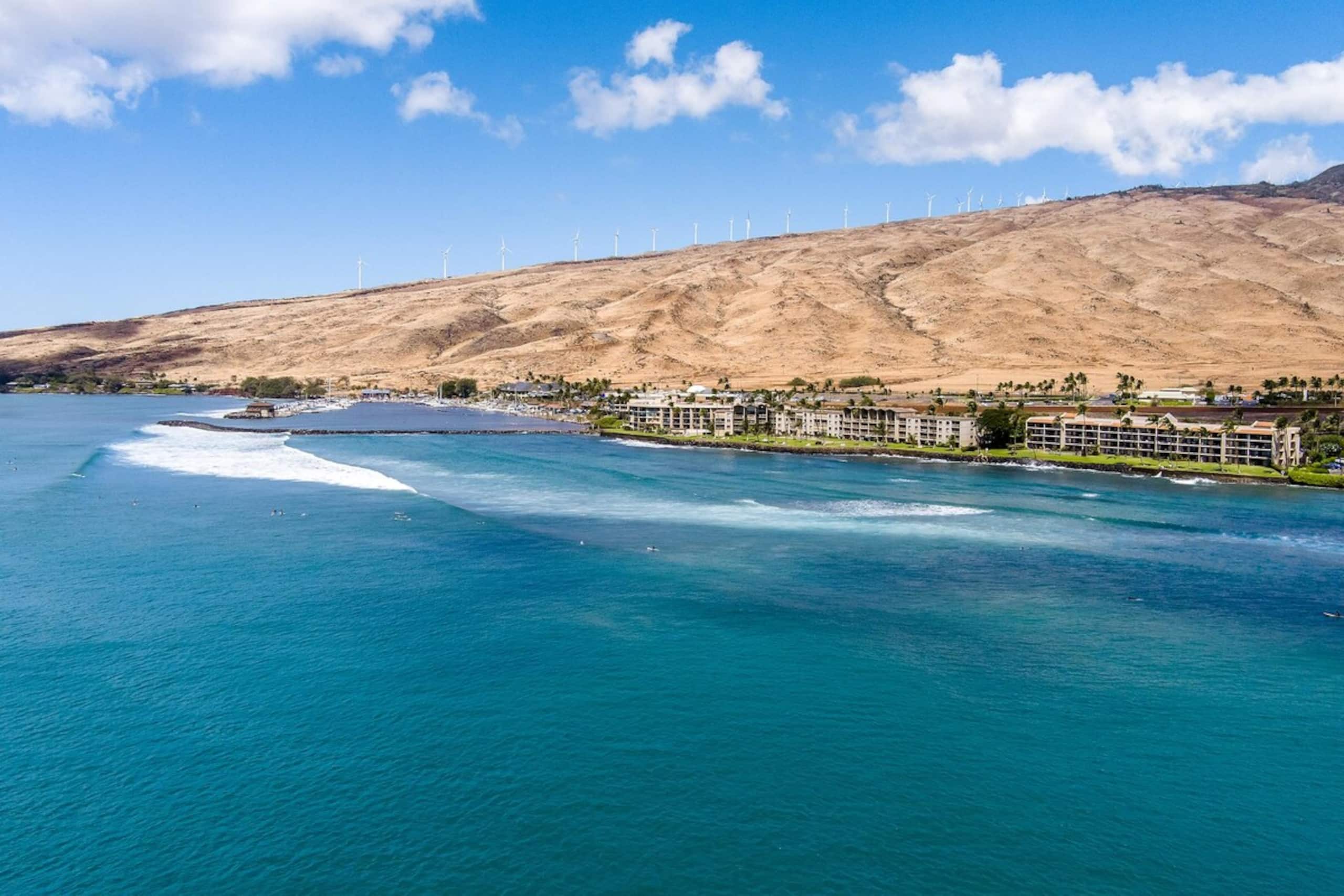 Stunning Oceanfront 1bd - Maalaea Kai 315 - Photo 51