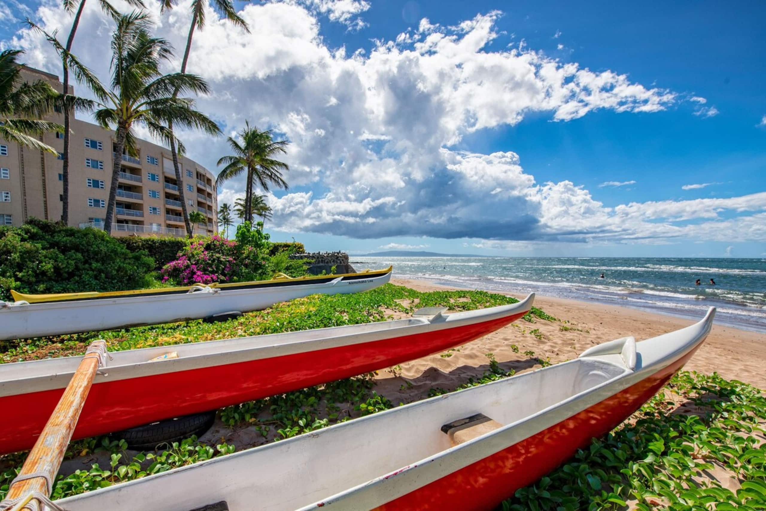 Spectacular Ocean Front 1bd at Menehune Shores - Photo 32