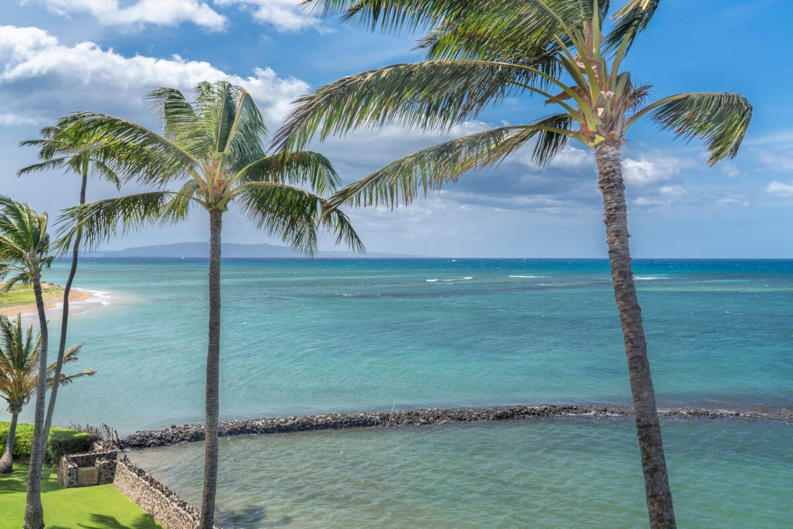 Spectacular Ocean Front 1bd at Menehune Shores - Photo 25