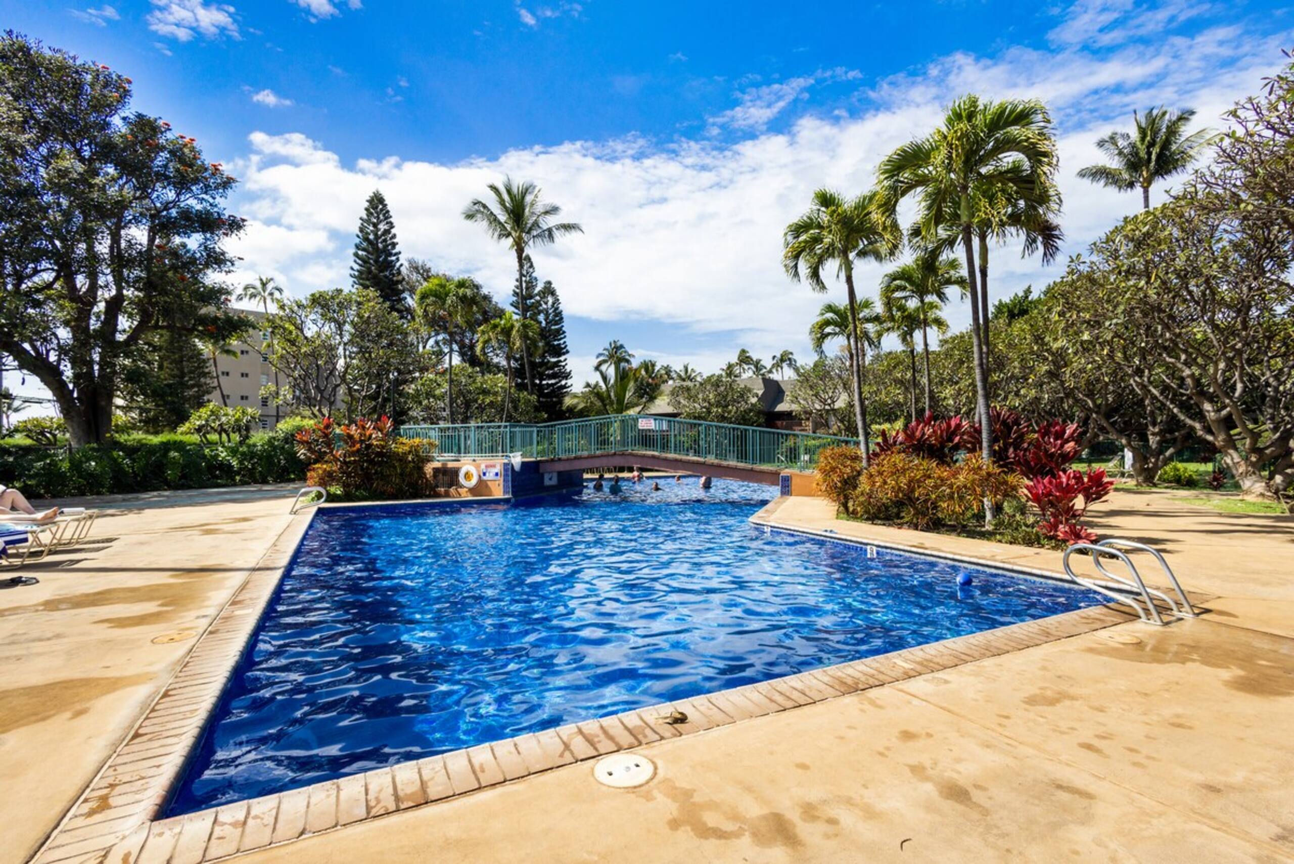 Stunning Koa Resort 3bd Villa with private Jet Spa - Photo 63