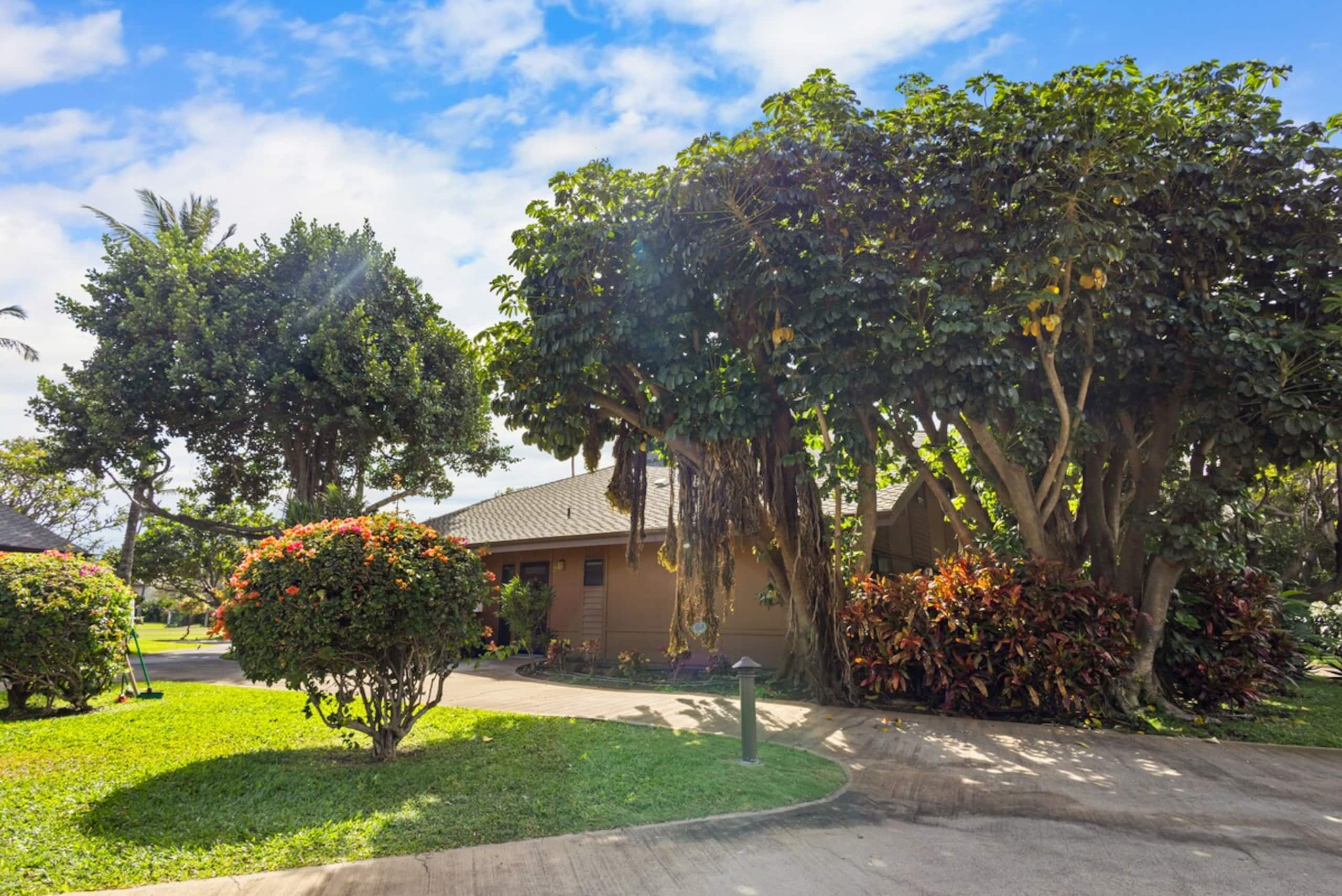 Stunning Koa Resort 3bd Villa with private Jet Spa - Photo 55