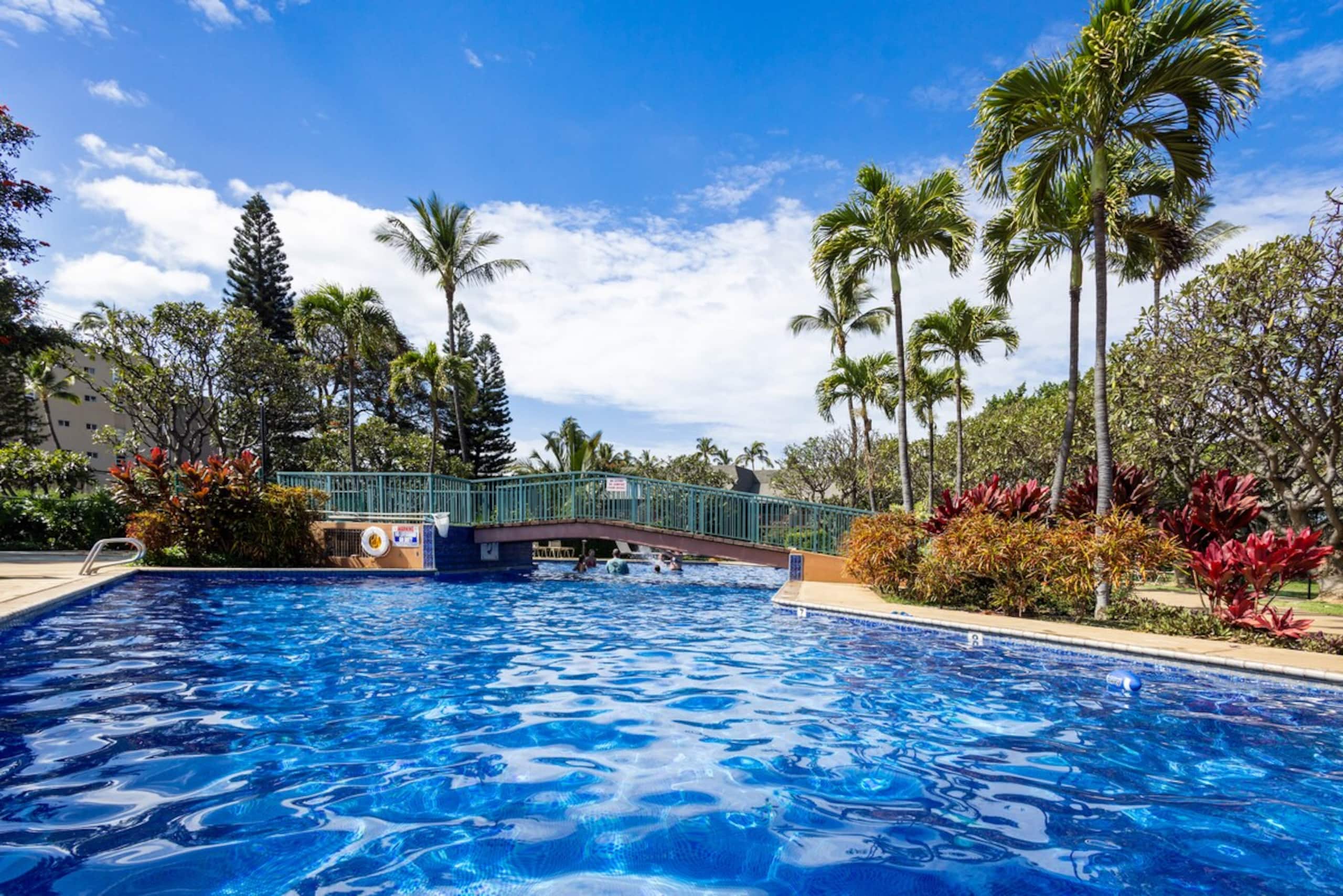 Stunning Koa Resort 3bd Villa with private Jet Spa - Photo 59