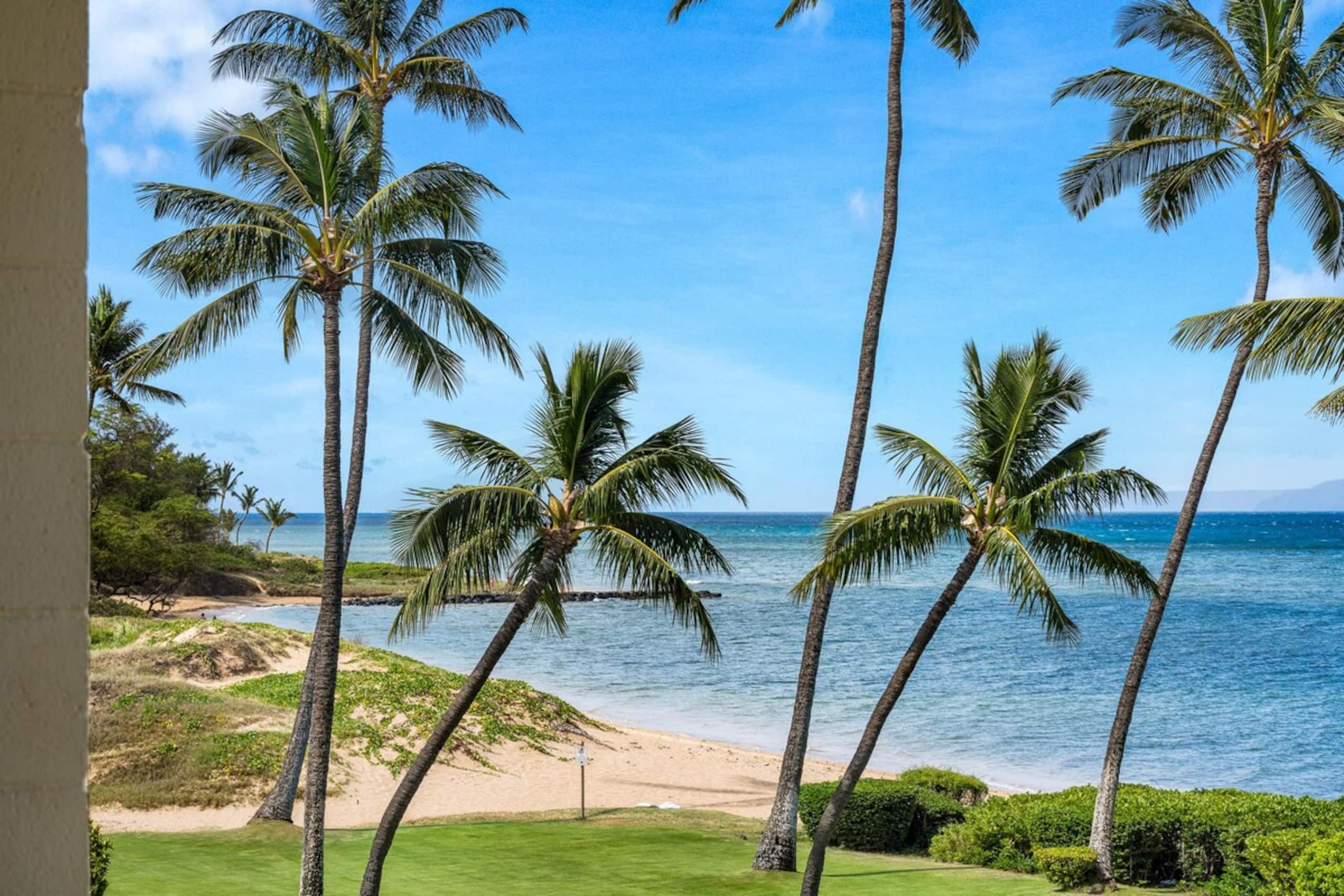 As Seen on HGTV I Hale Kai O Kihei 307 - Photo 82