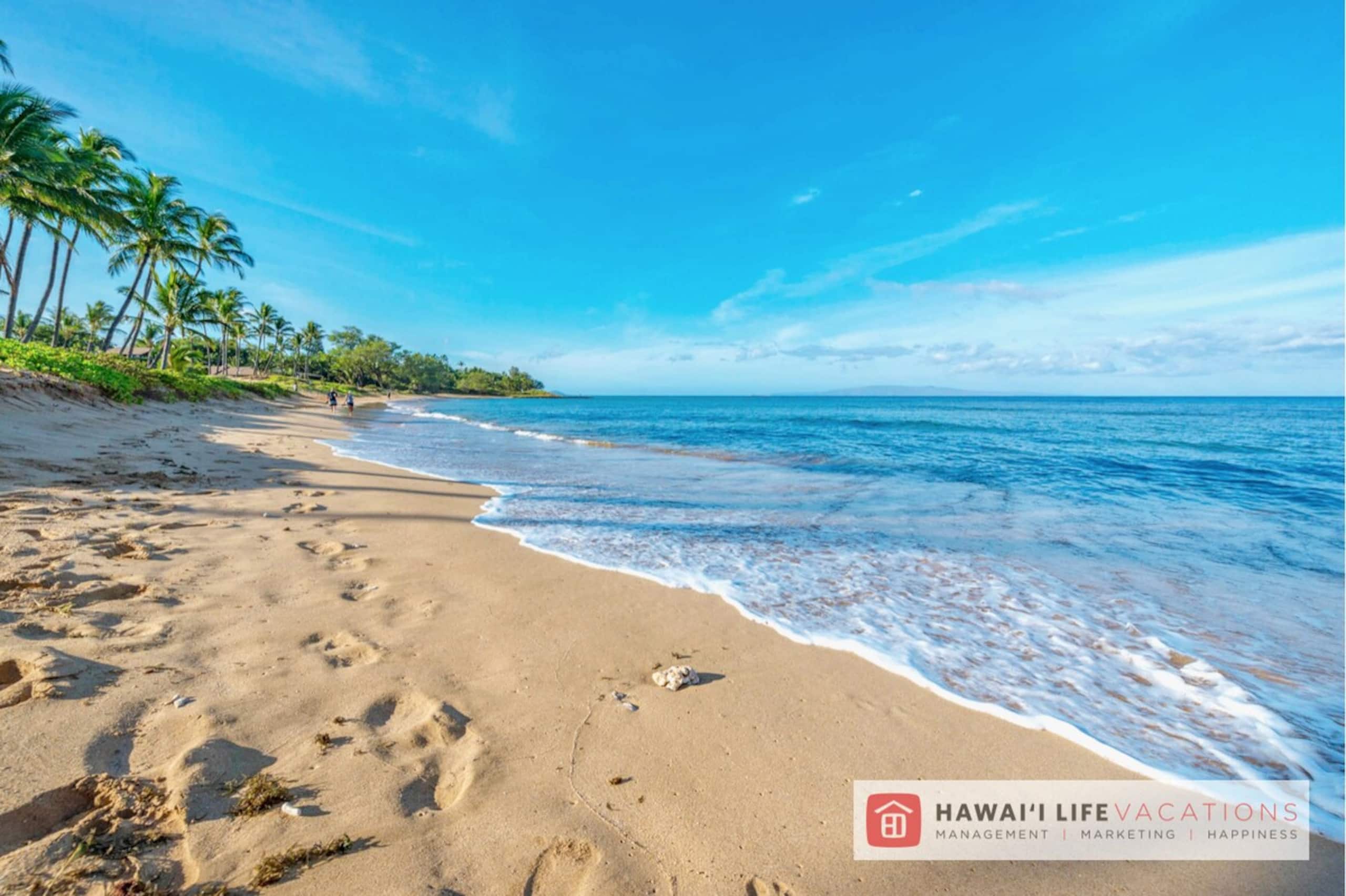 As Seen on HGTV I Hale Kai O Kihei 307 - Photo 54