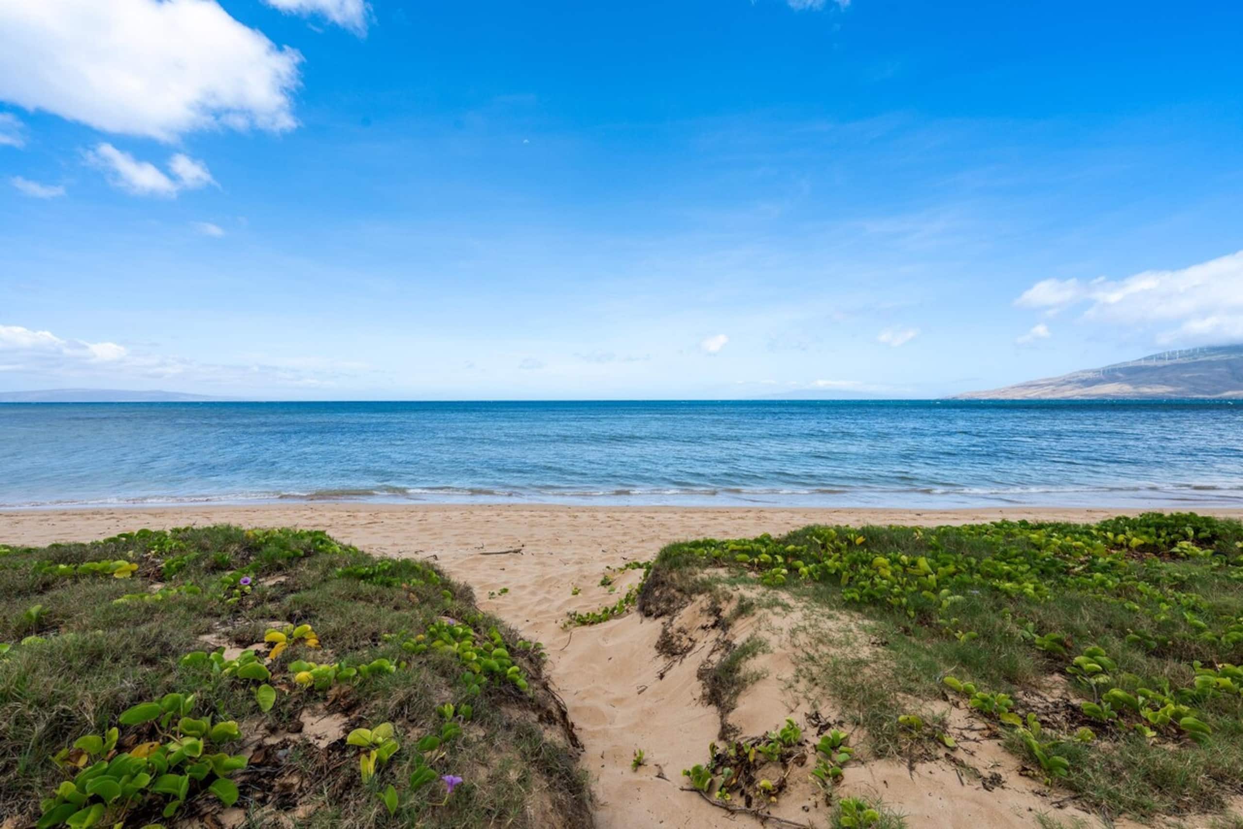 As Seen on HGTV I Hale Kai O Kihei 307 - Photo 7