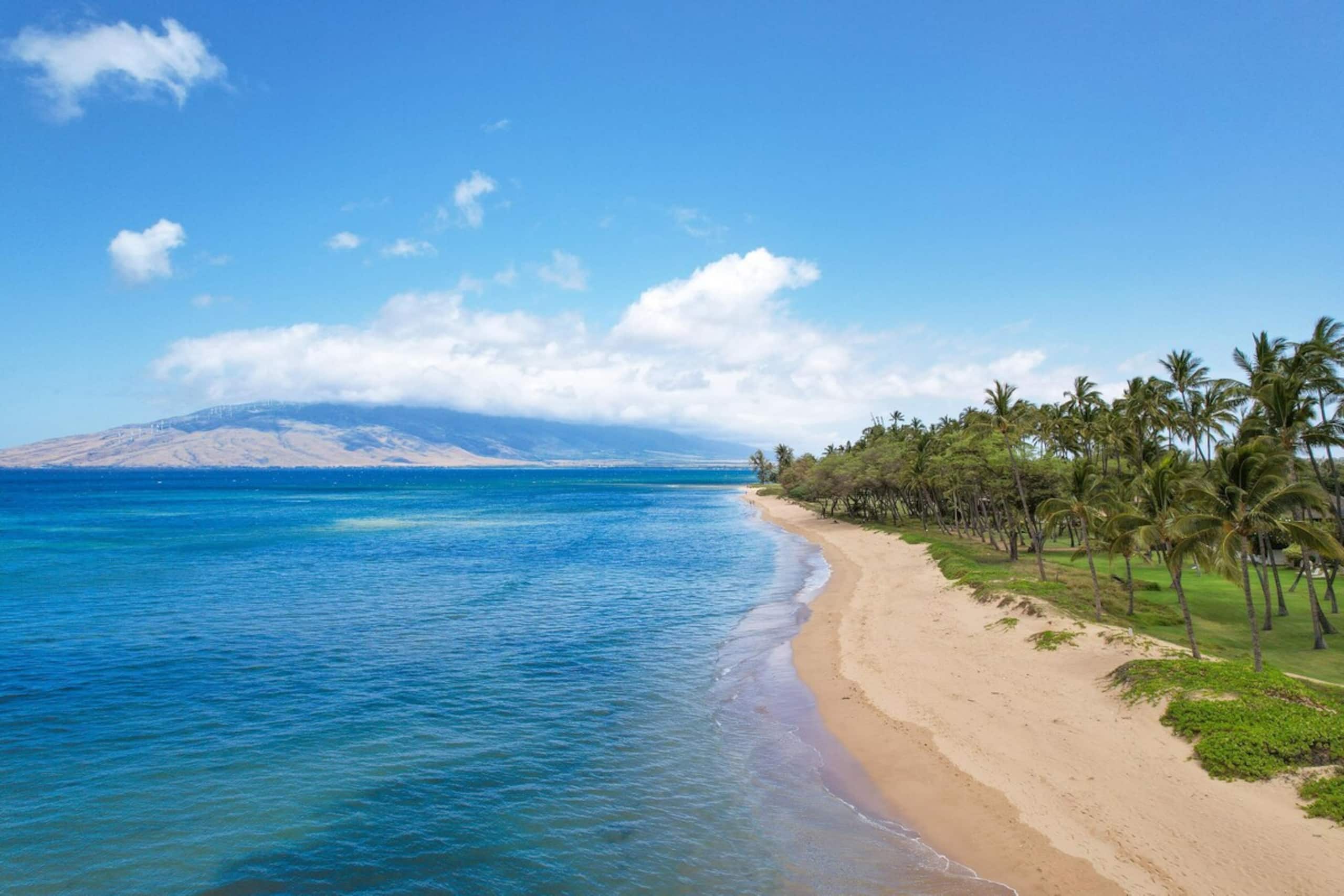 As Seen on HGTV I Hale Kai O Kihei 307 - Photo 20