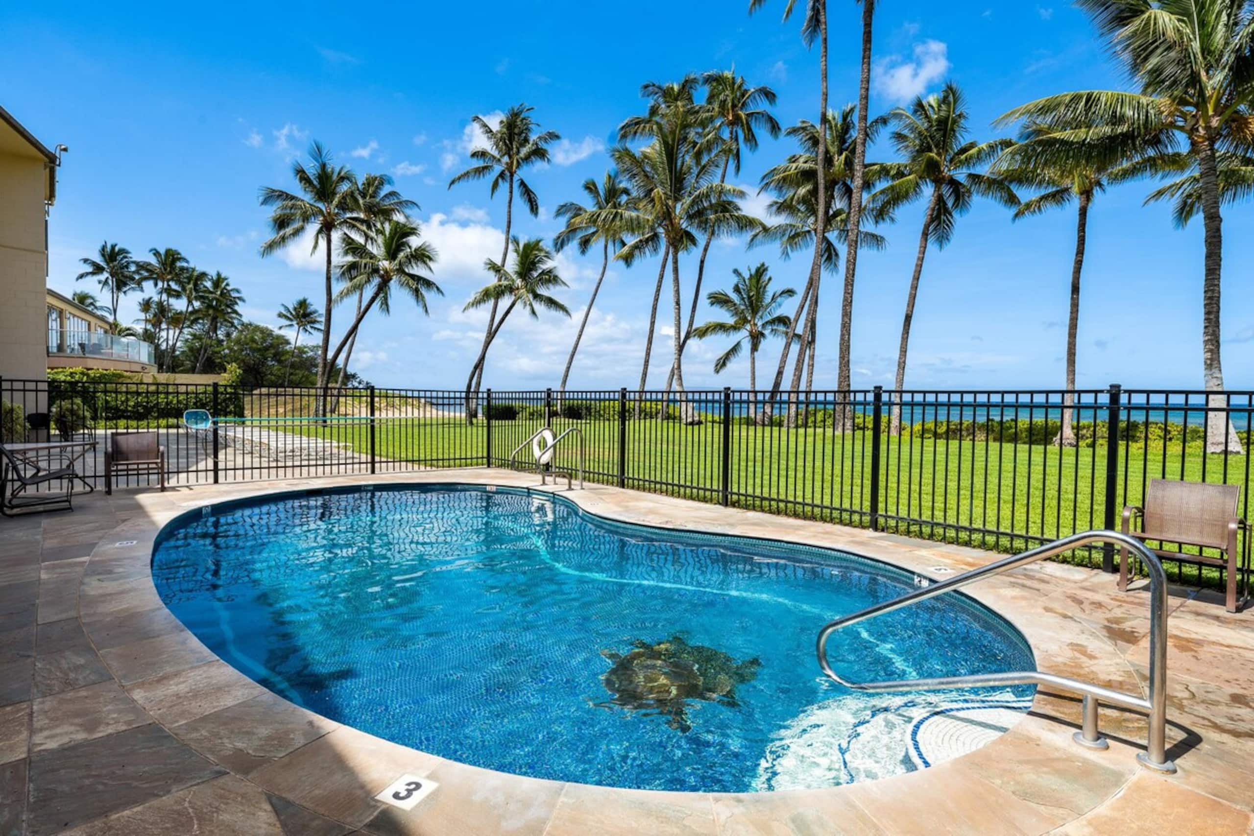 As Seen on HGTV I Hale Kai O Kihei 307 - Photo 25