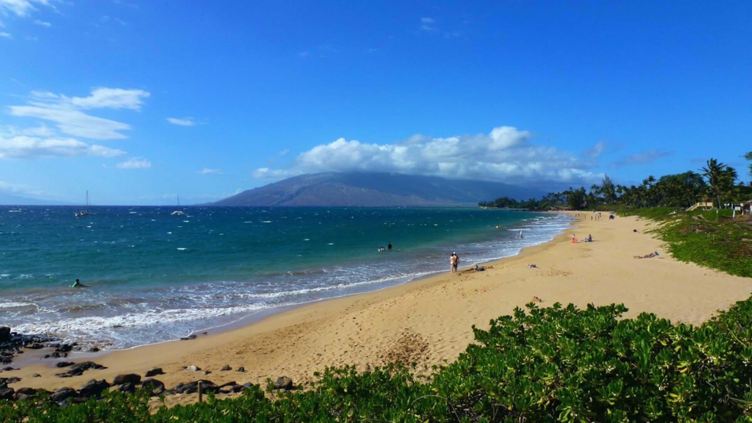 Luxury Condo at Kameole Beach - Photo 21