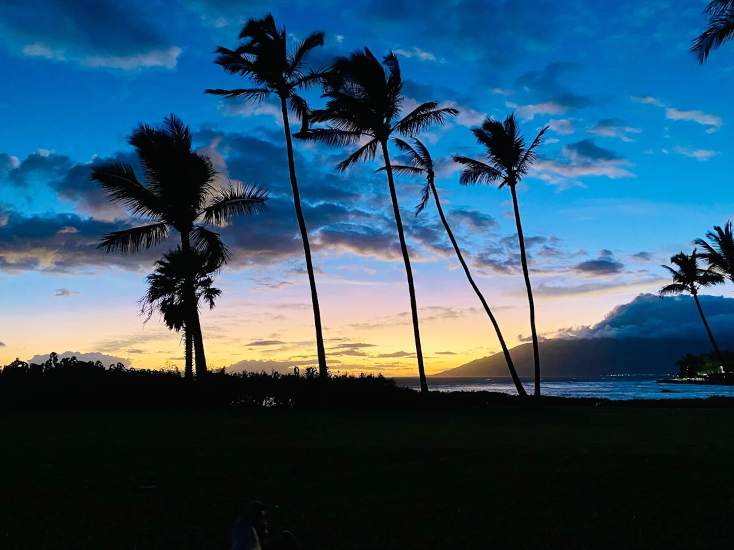 The Maui Beach Villa, Parking at Private Entry - Photo 39