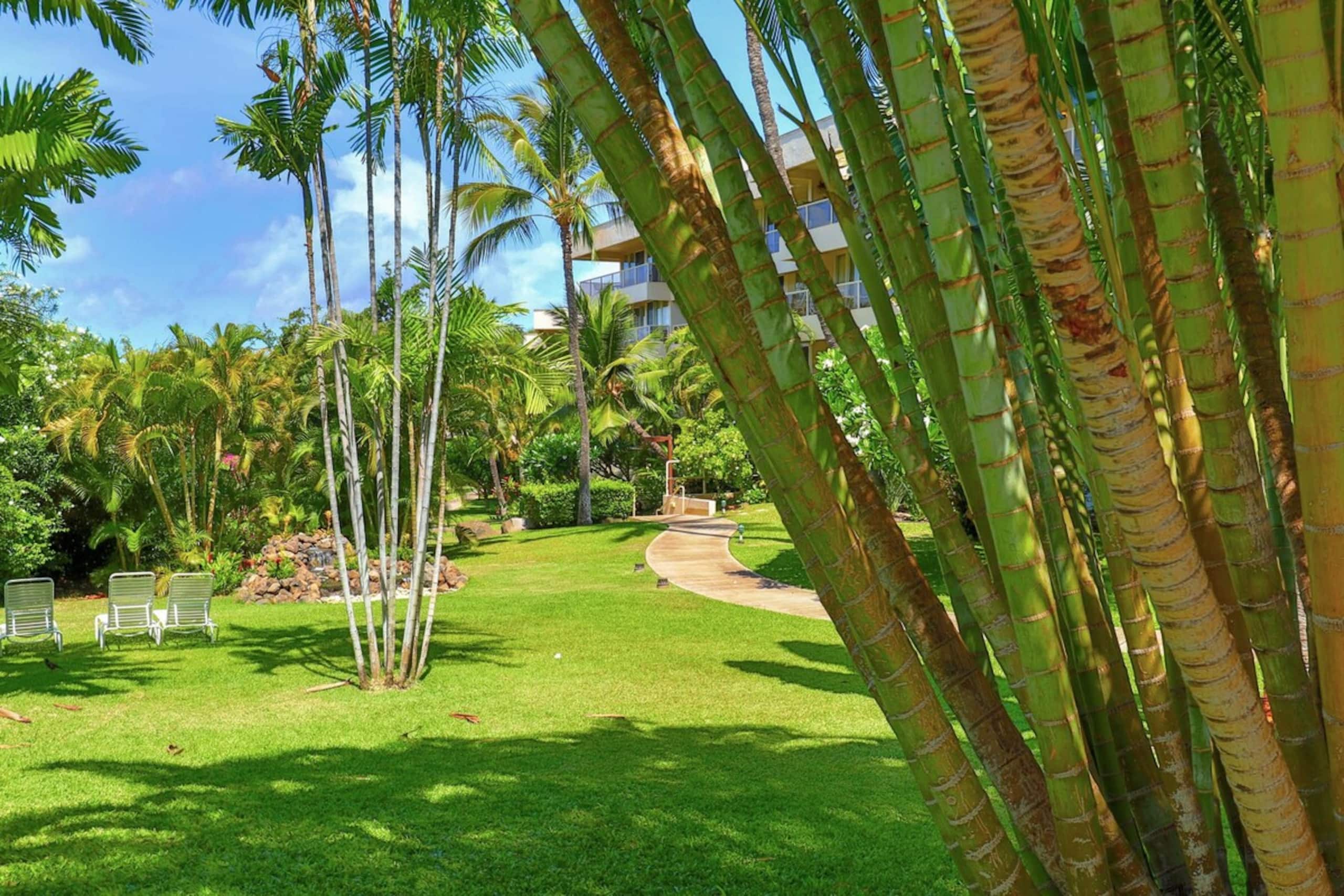Maui Banyan - Studio Across from Kamaole Beach - Photo 7