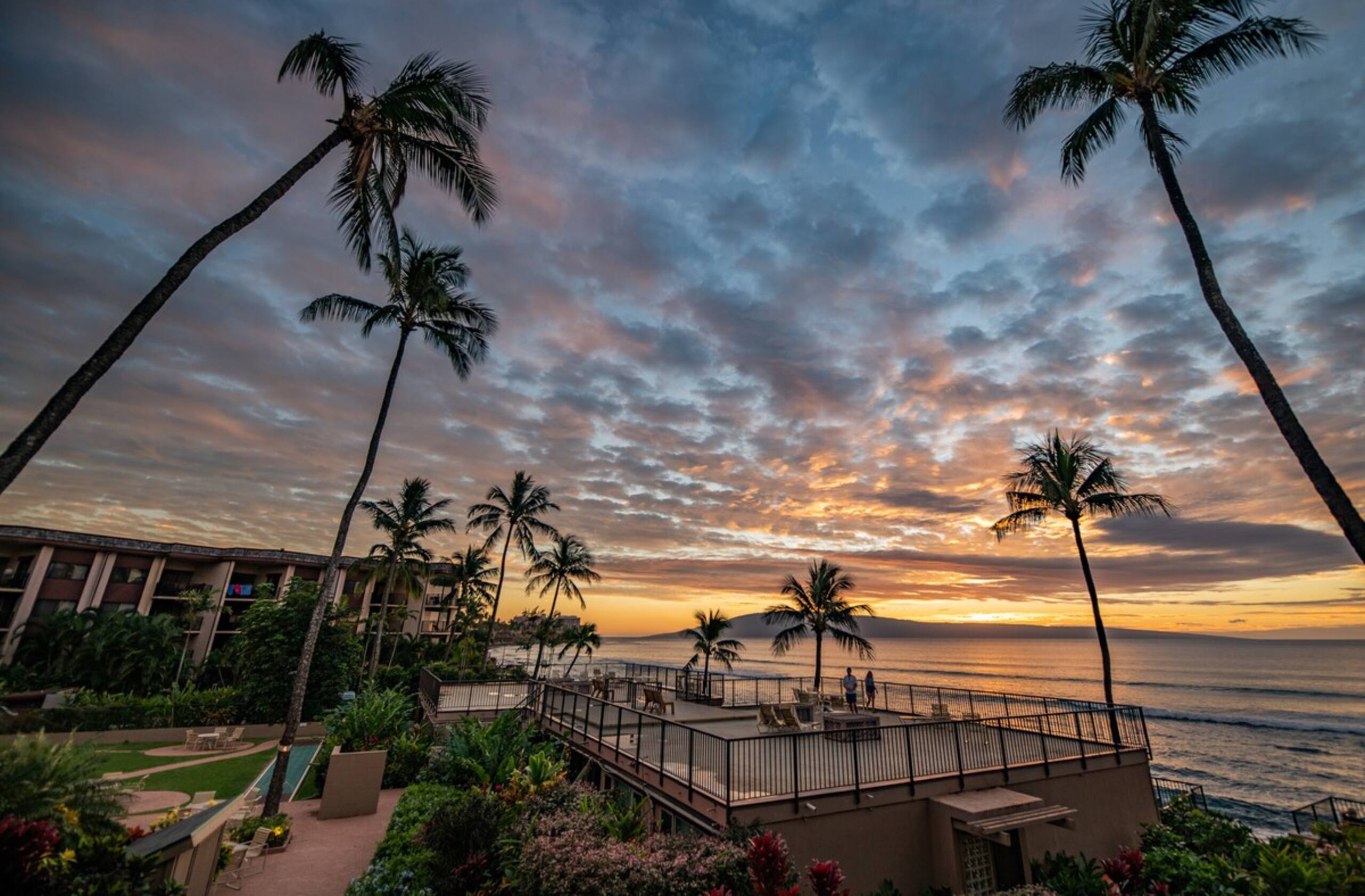 Sunsets and Turtles and Whales, Oh My - Photo 13