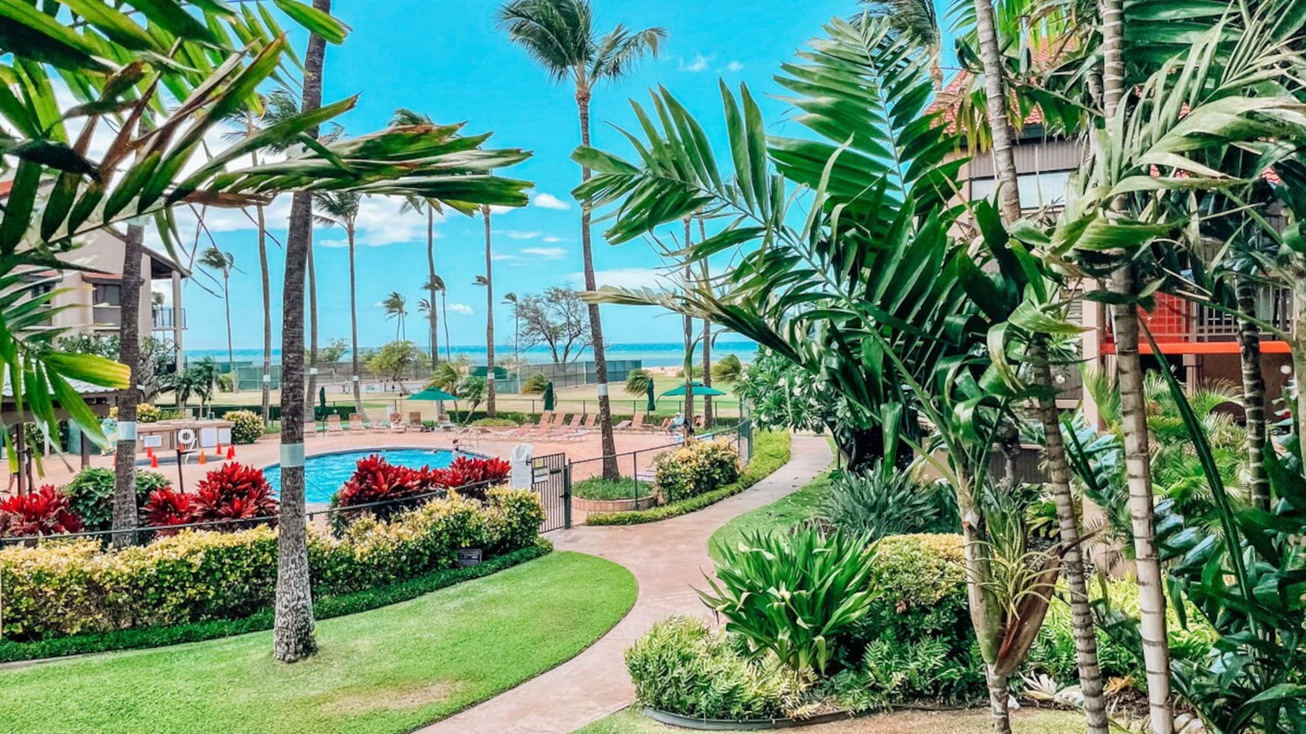 One Bd Partial Ocean, AC, wifi, Pool, Hot tub B210 - Main photo