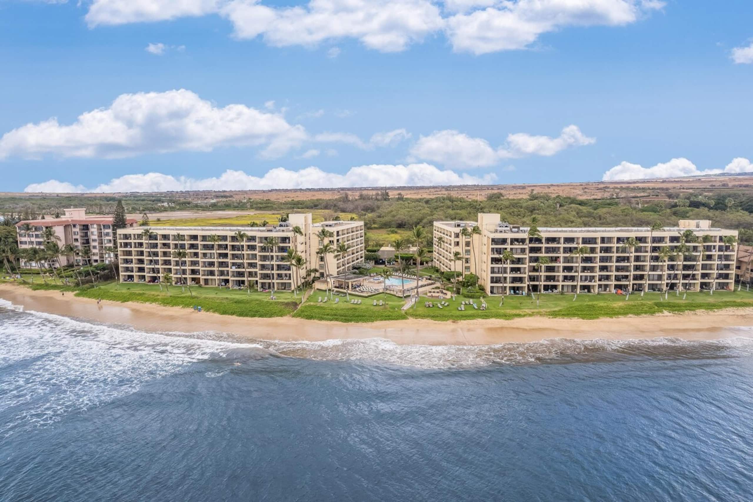Luxury 1BR Beachfront Condo Sugar Beach unit 505 - Photo 48