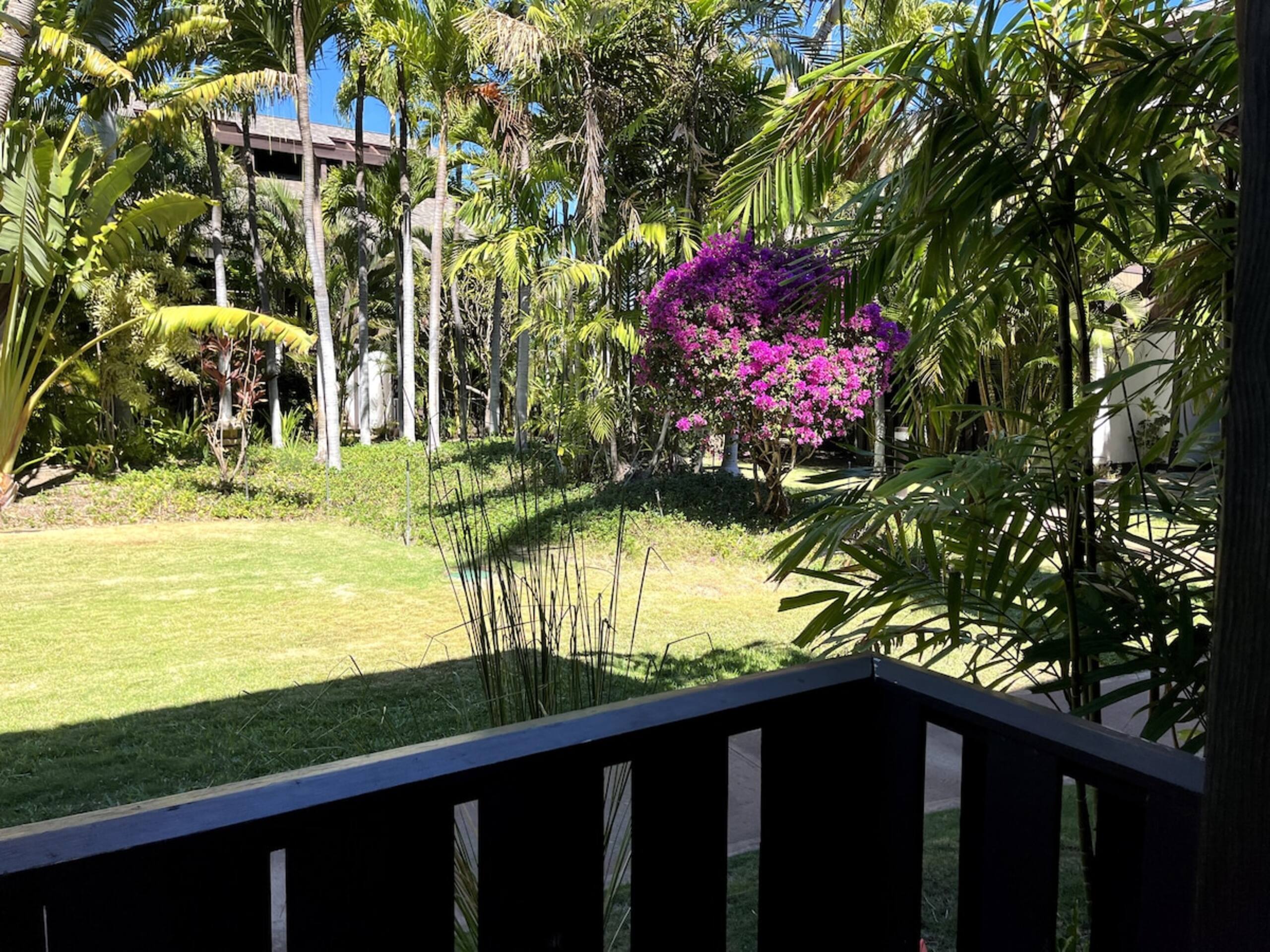 The Spirit of Aloha-1Bed/1Bath in Tropical Resort - Photo 47