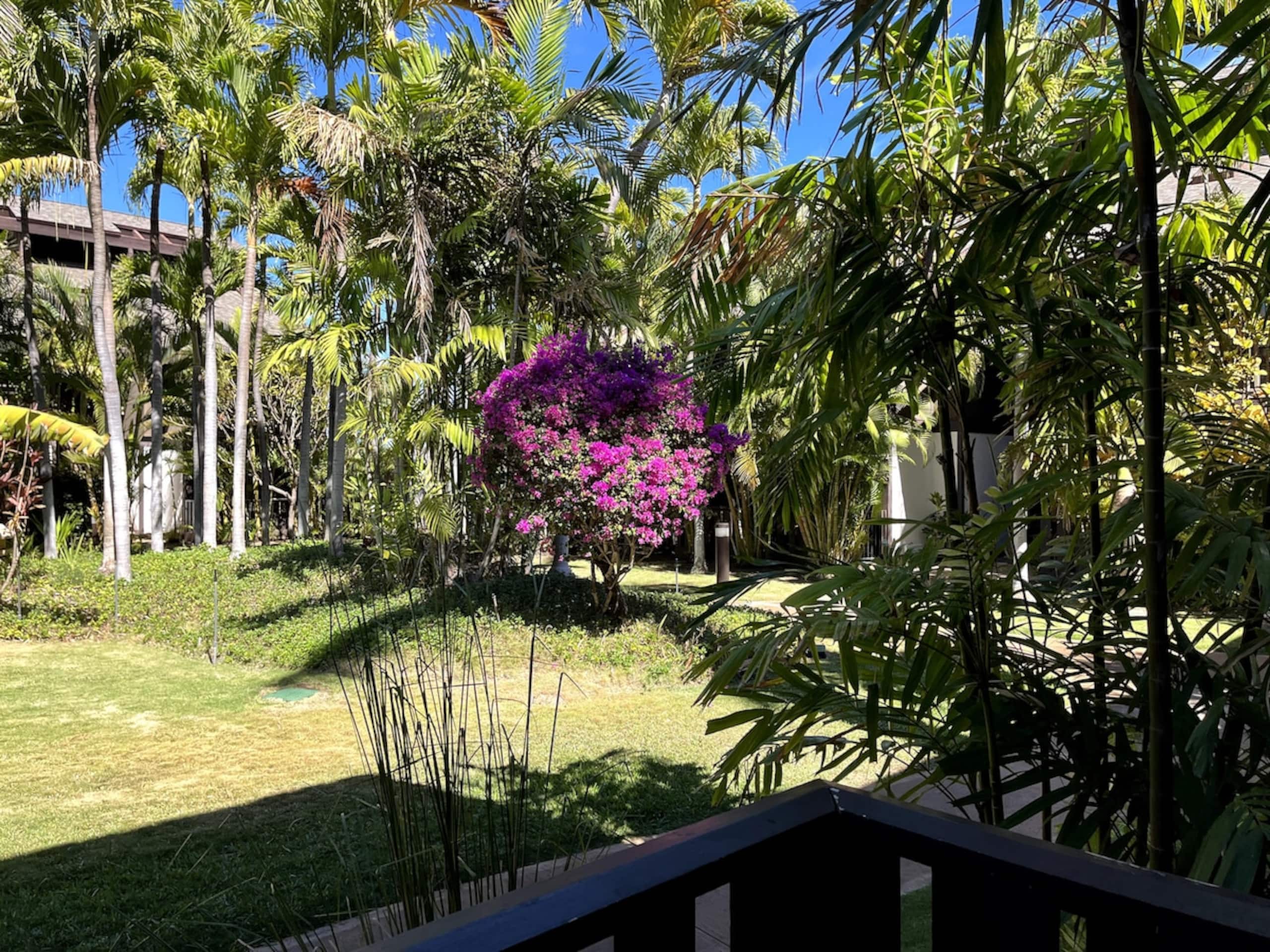 The Spirit of Aloha-1Bed/1Bath in Tropical Resort - Photo 64