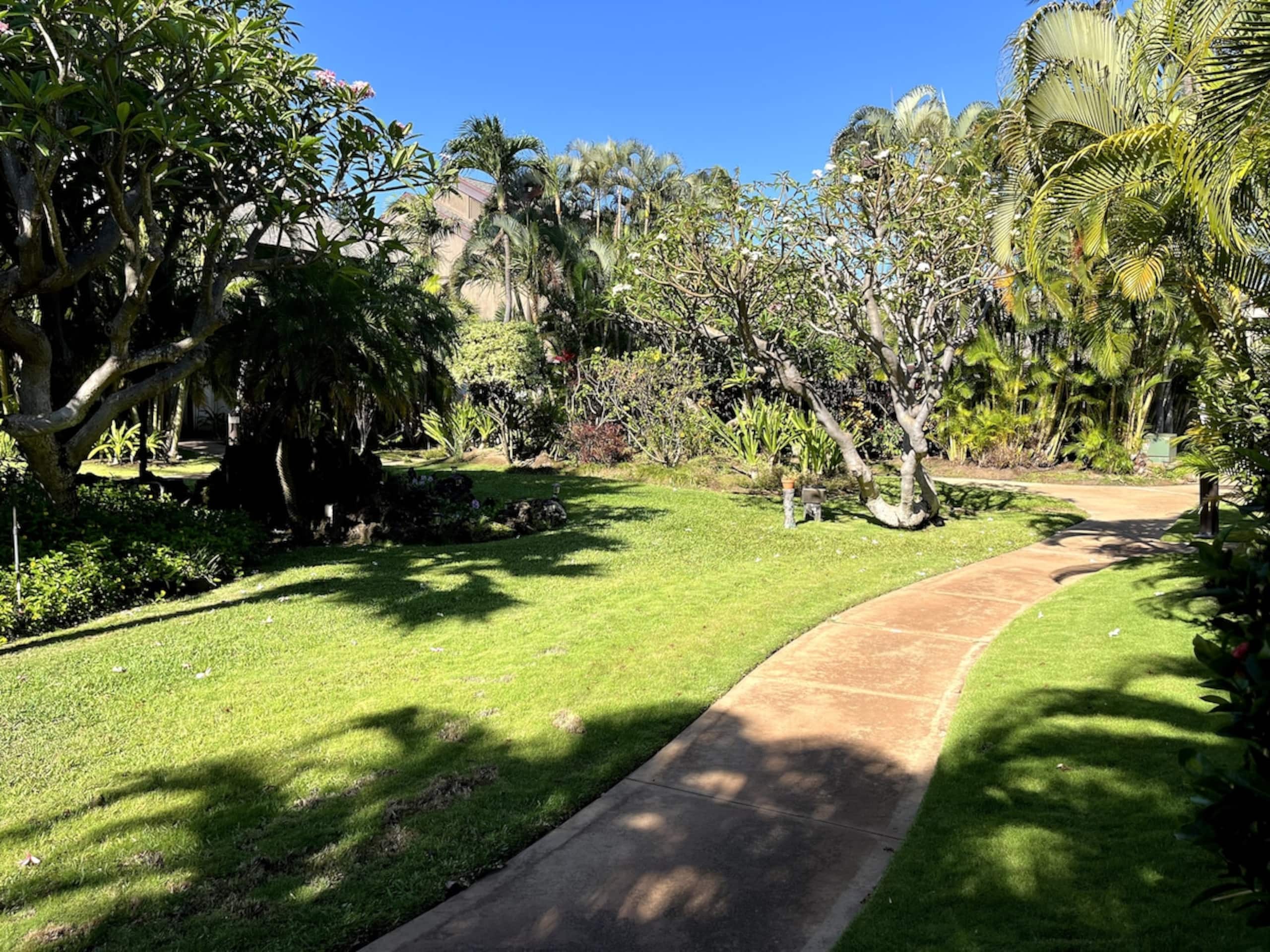 The Spirit of Aloha-1Bed/1Bath in Tropical Resort - Photo 60