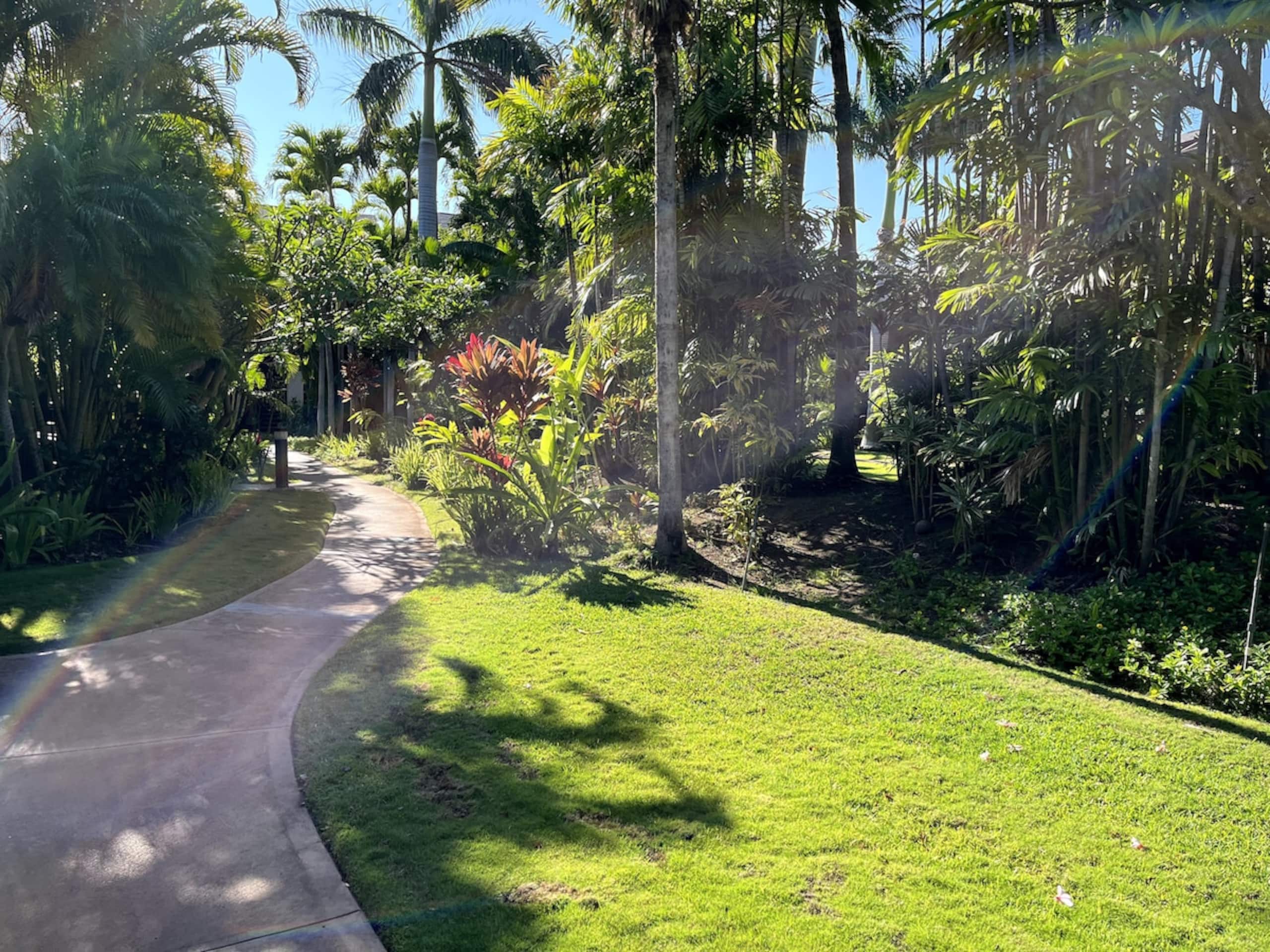 The Spirit of Aloha-1Bed/1Bath in Tropical Resort - Photo 61