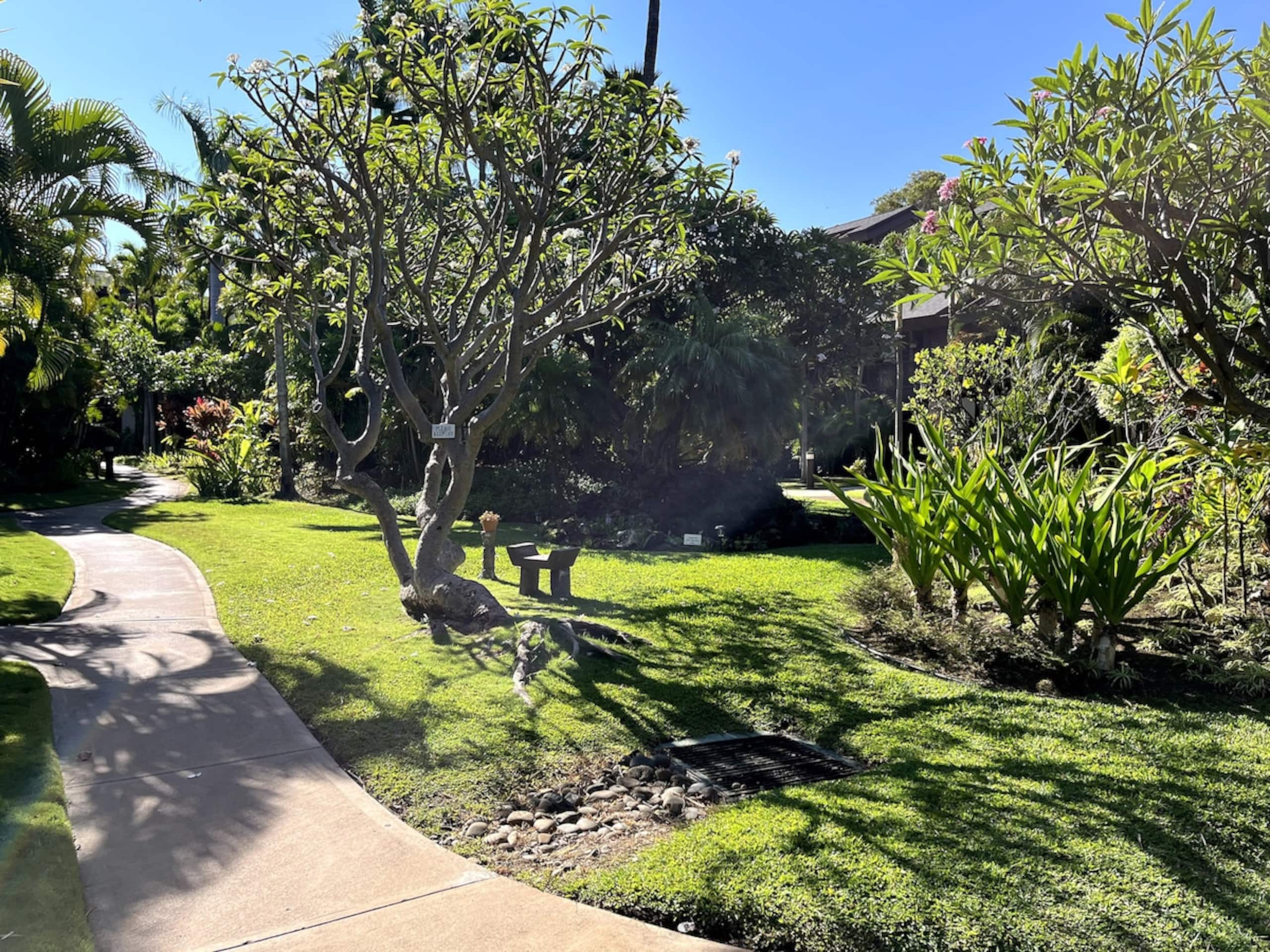 The Spirit of Aloha-1Bed/1Bath in Tropical Resort - Photo 58