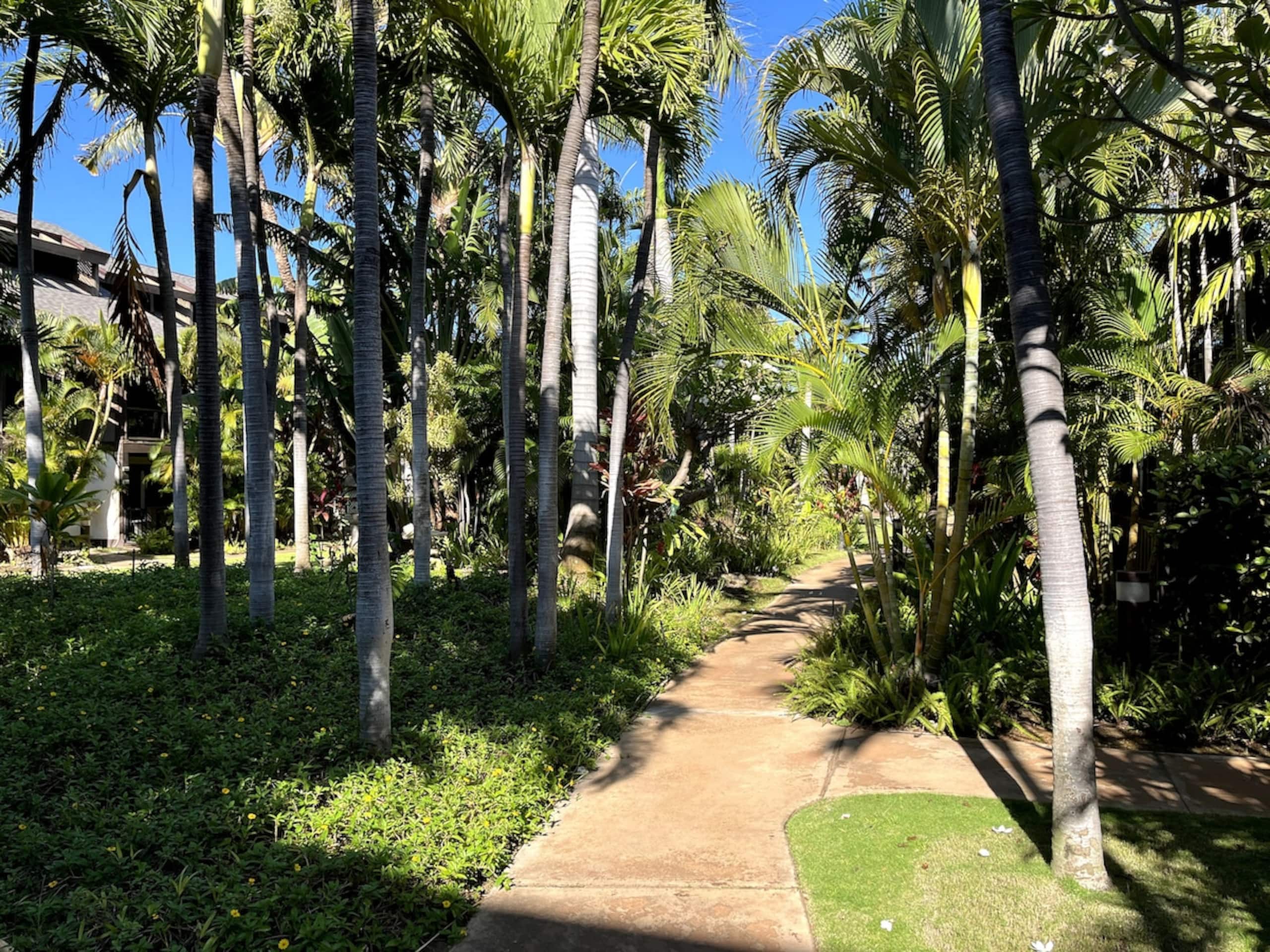 The Spirit of Aloha-1Bed/1Bath in Tropical Resort - Photo 46