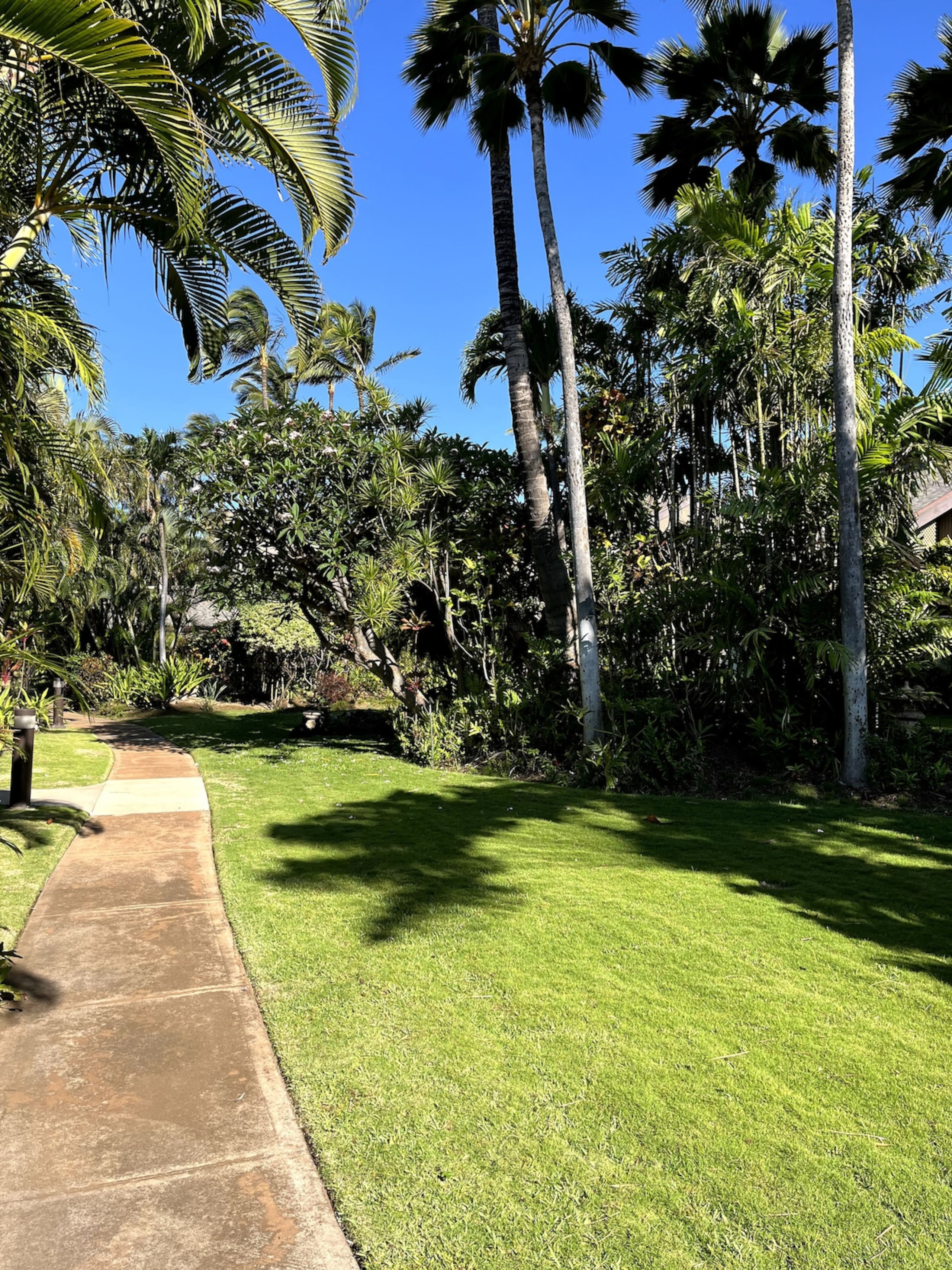 The Spirit of Aloha-1Bed/1Bath in Tropical Resort - Photo 56