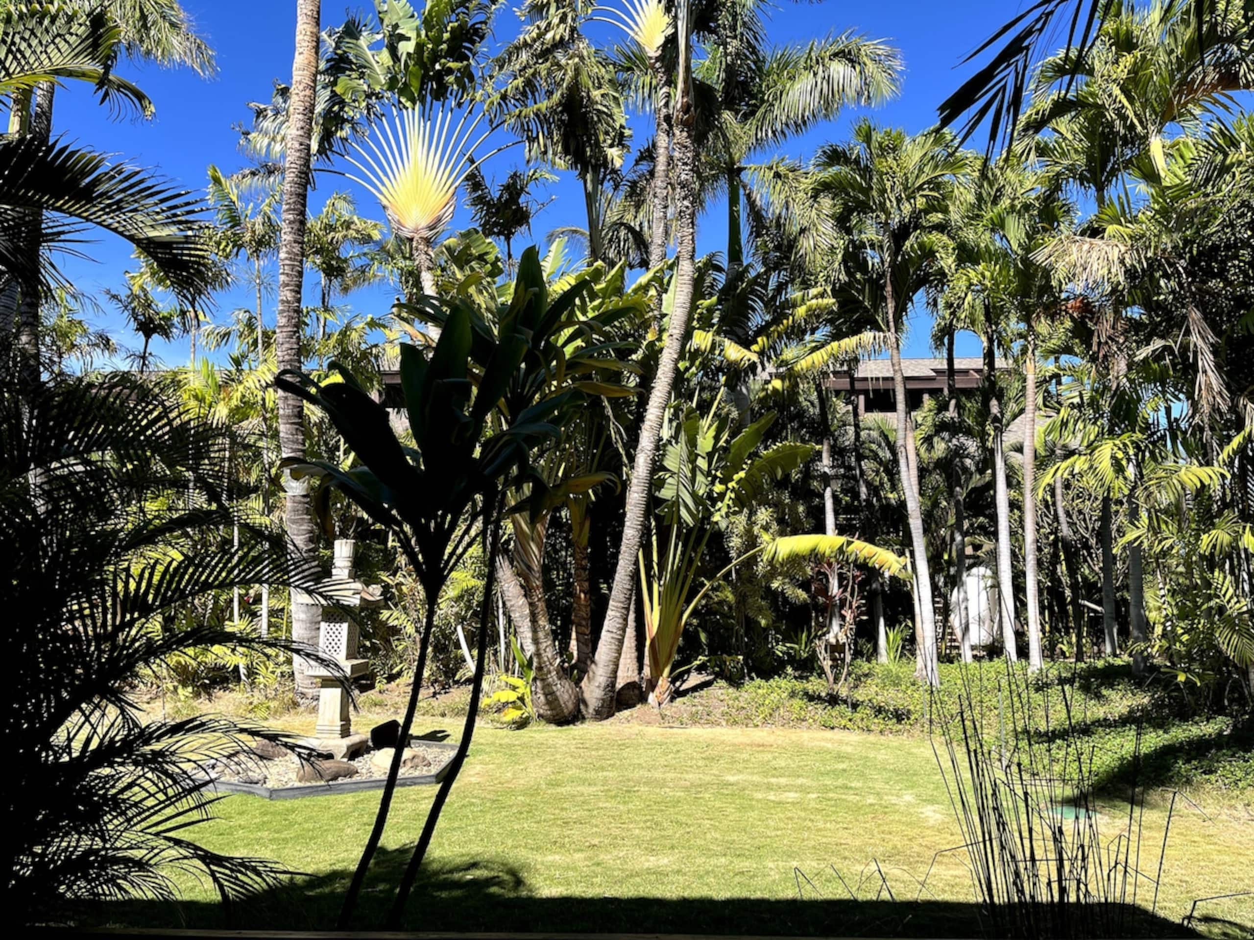 The Spirit of Aloha-1Bed/1Bath in Tropical Resort - Photo 65