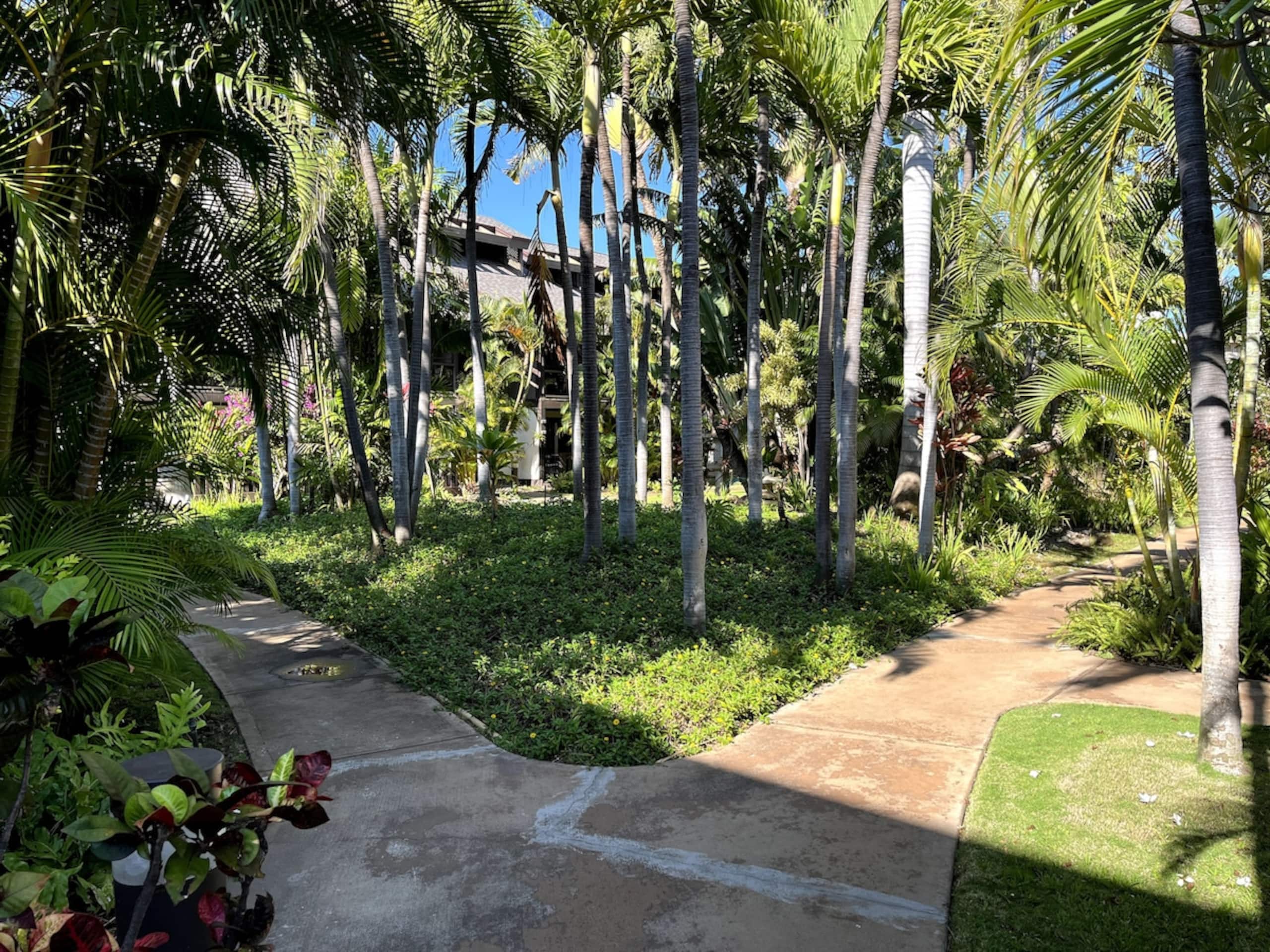 The Spirit of Aloha-1Bed/1Bath in Tropical Resort - Photo 62