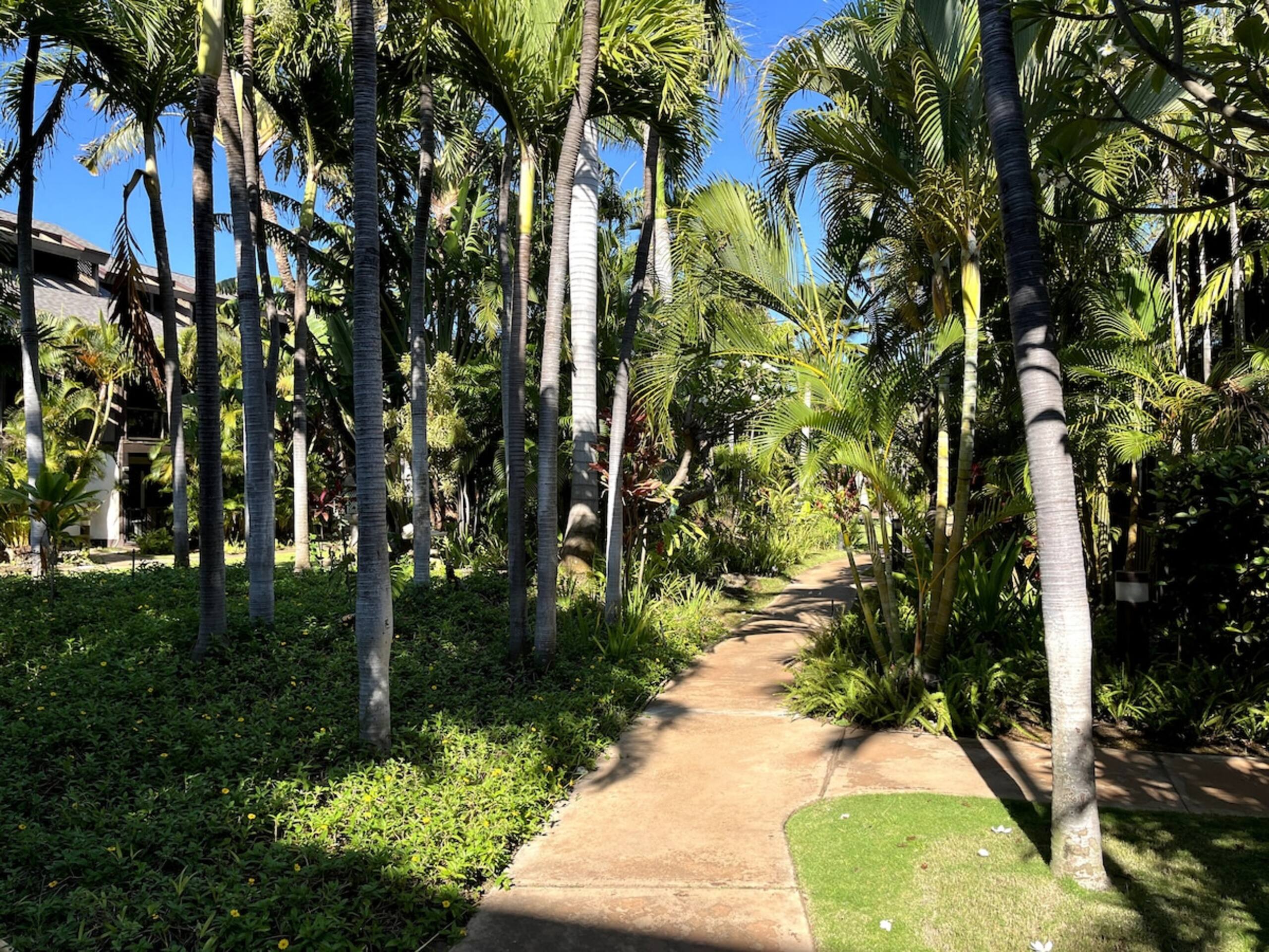 The Spirit of Aloha-1Bed/1Bath in Tropical Resort - Photo 49