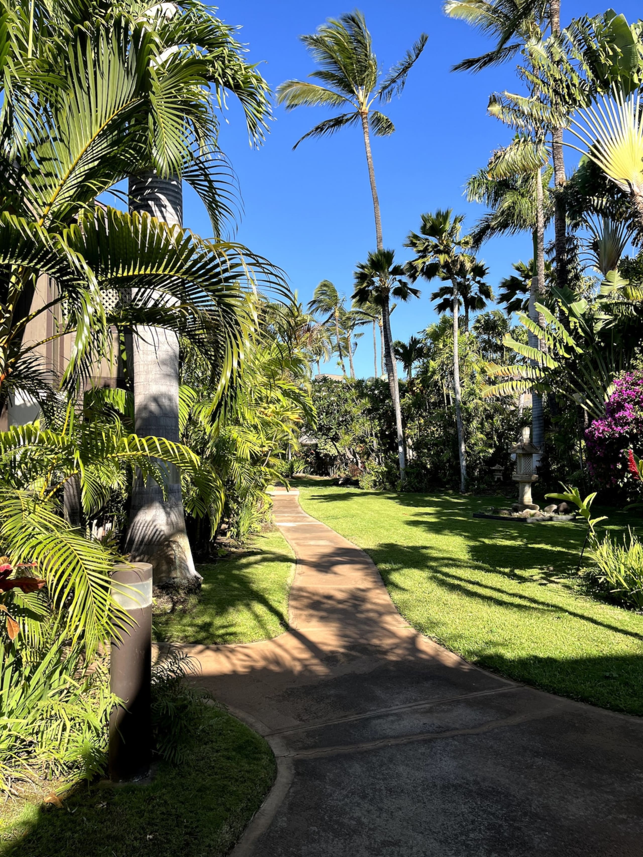 The Spirit of Aloha-1Bed/1Bath in Tropical Resort - Photo 50