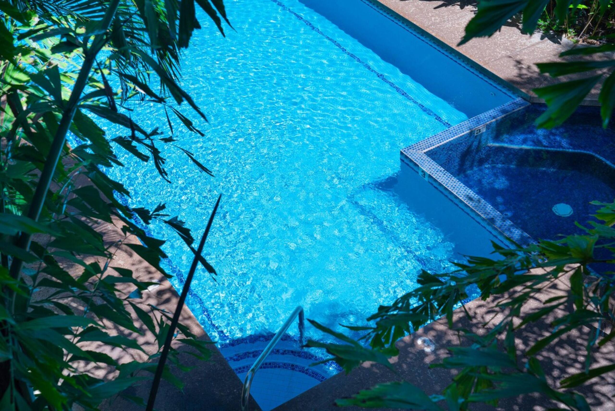 Beautiful 3 Bedroom Condo with Ocean View & Pool - Photo 27