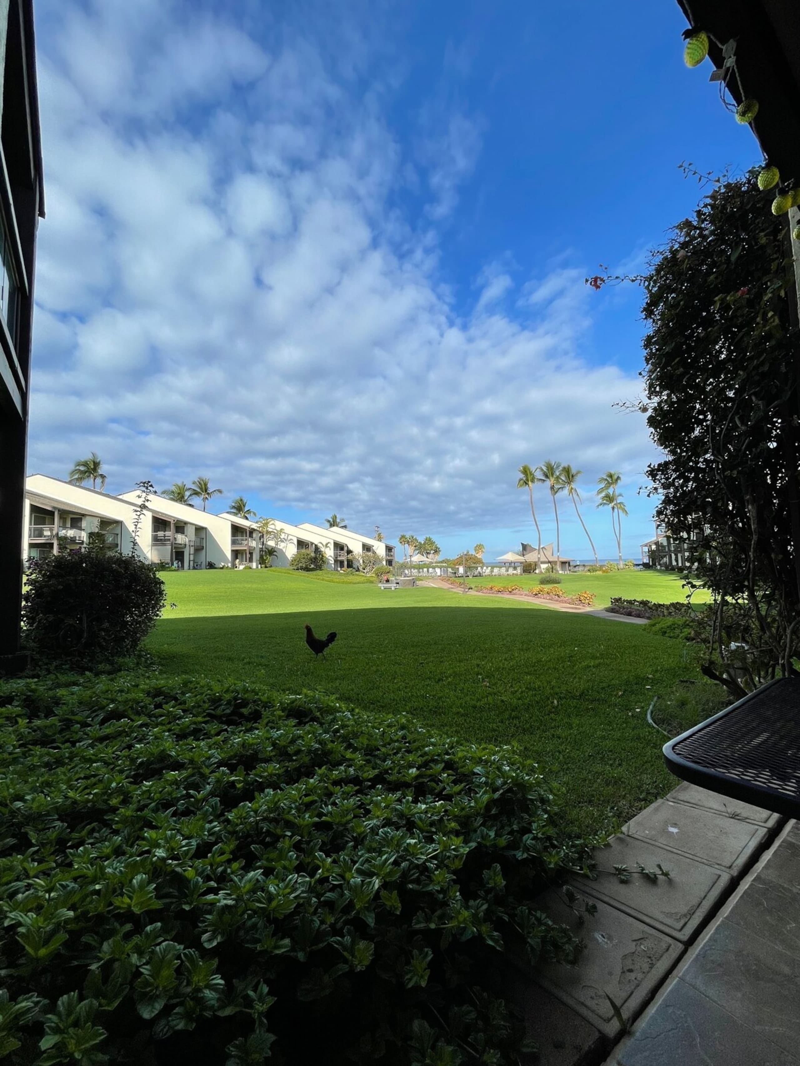 Hawaiian-style 1 BR Condo - steps from the beach! - Photo 8