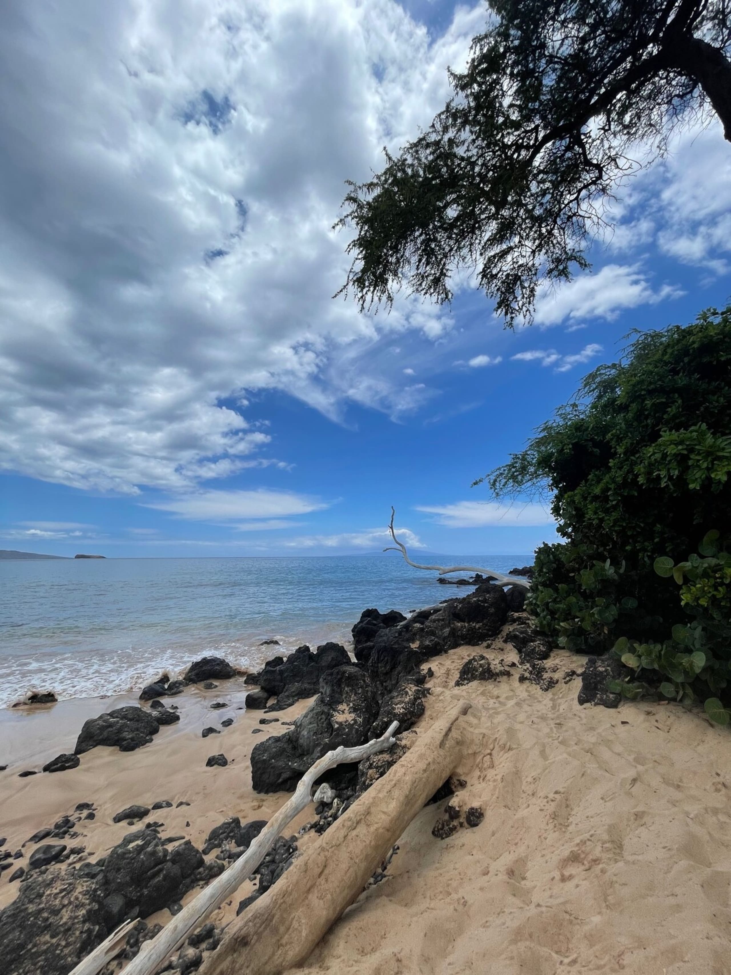 Hawaiian-style 1 BR Condo - steps from the beach! - Photo 12
