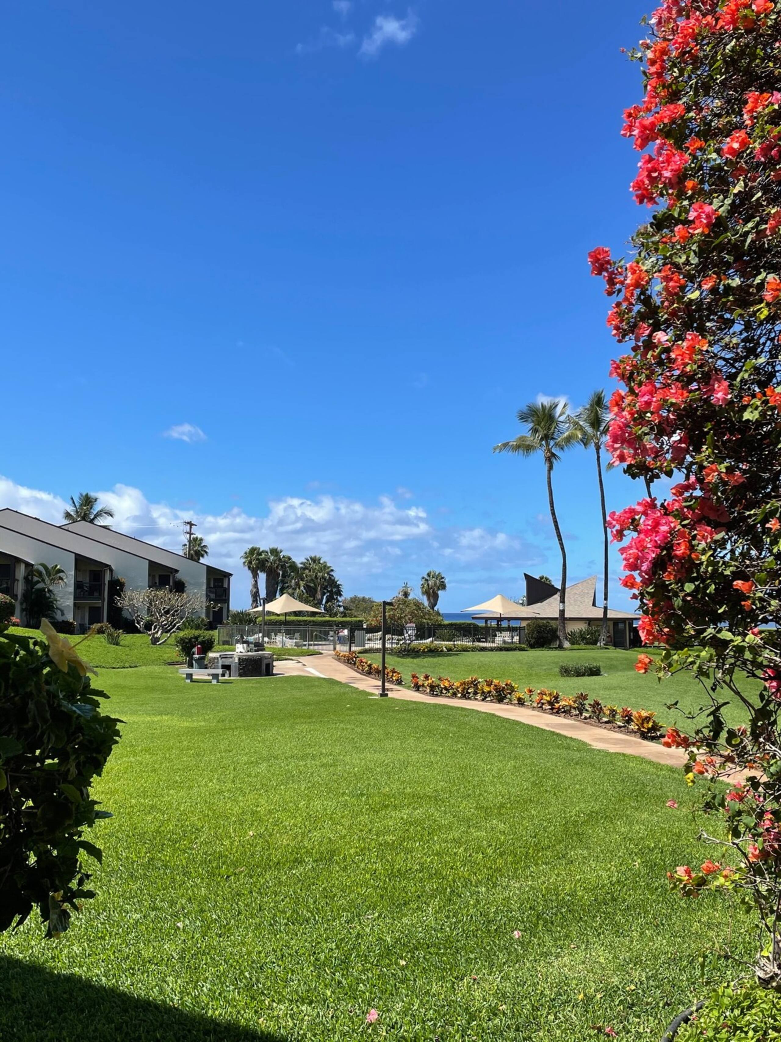 Hawaiian-style 1 BR Condo - steps from the beach! - Photo 13