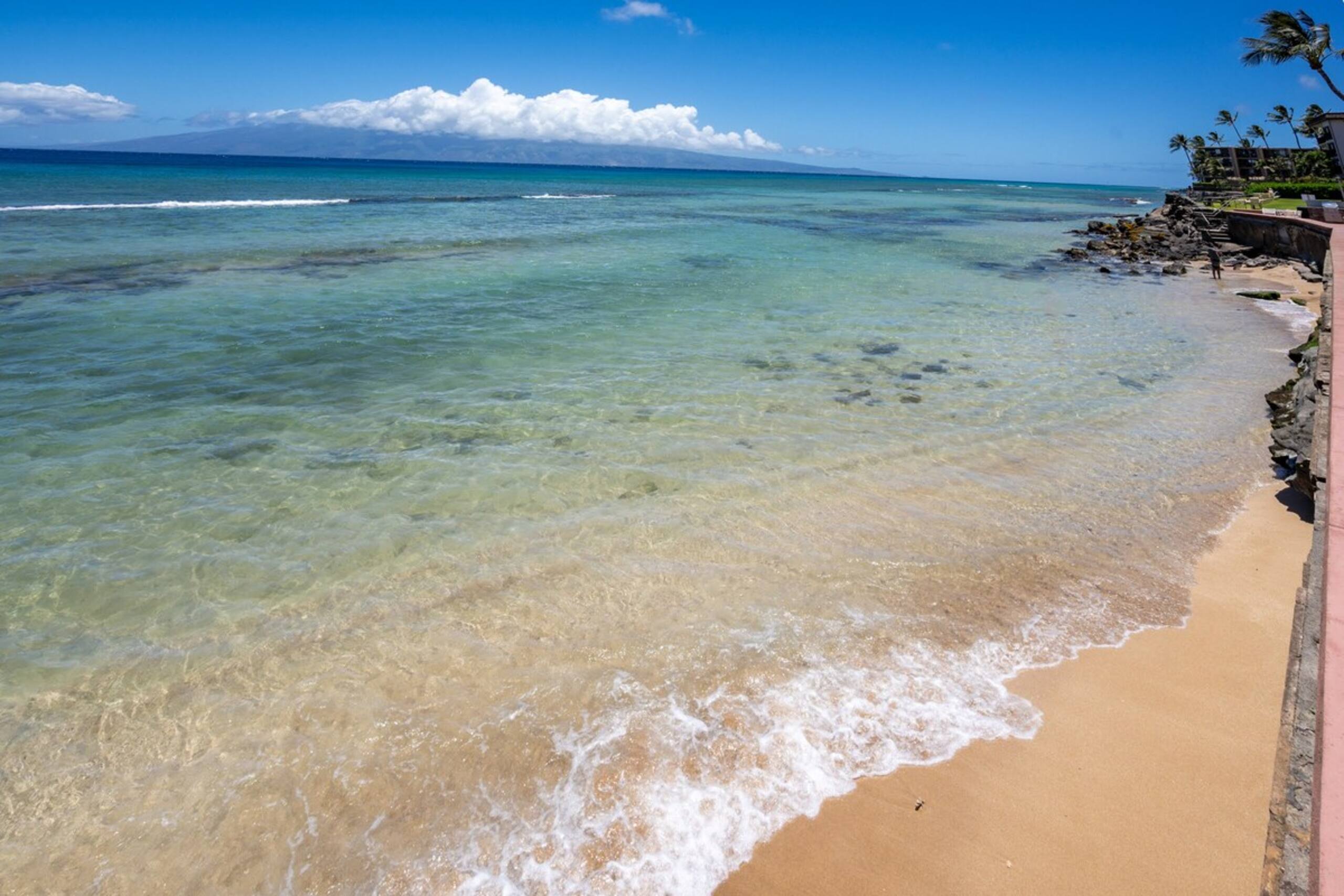 Lovely 2-bedrooms/2baths Ocean Front Condo - Photo 37