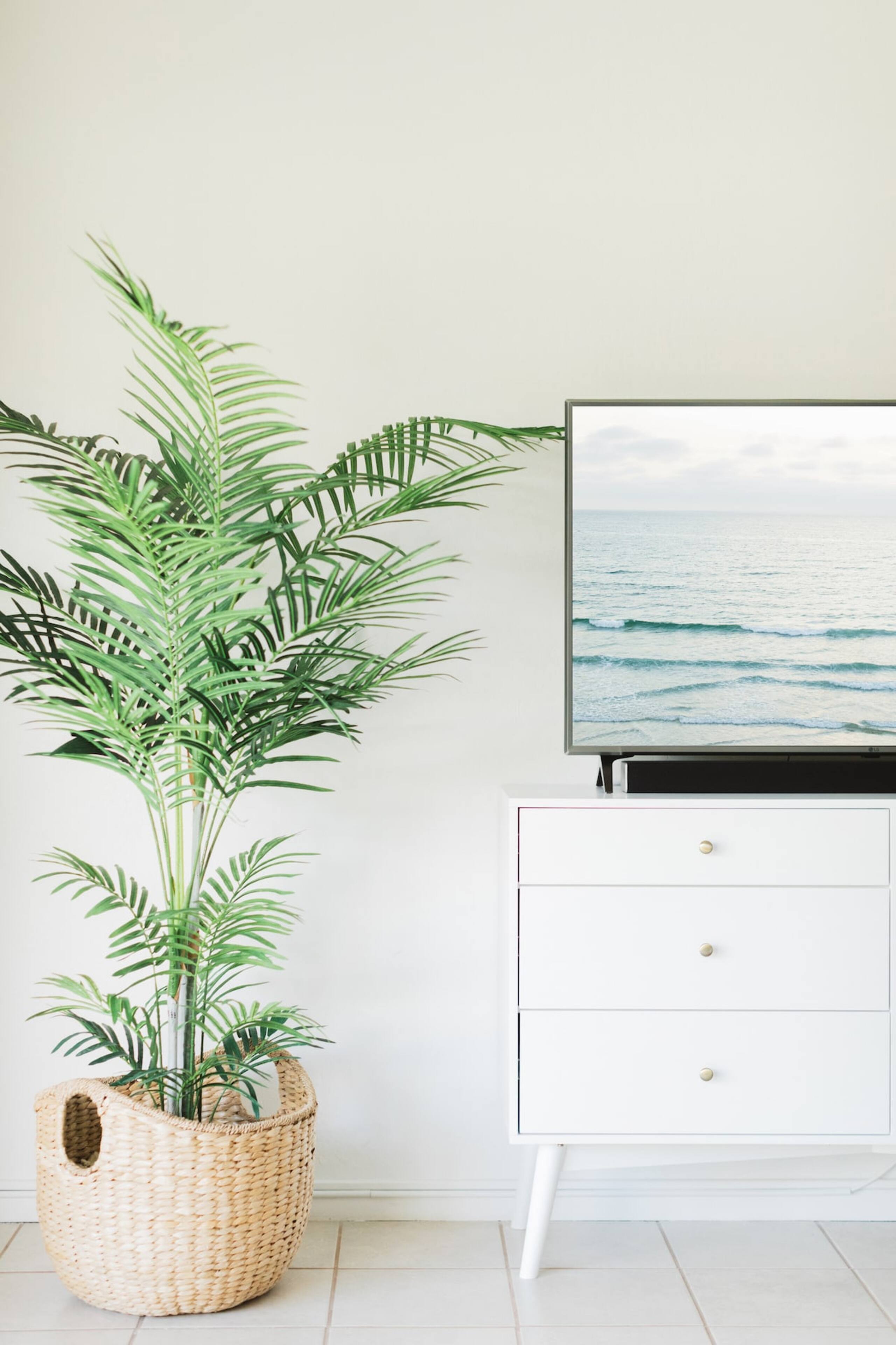 Beautiful Modern Decor in a Light-Filled Condo - Photo 6