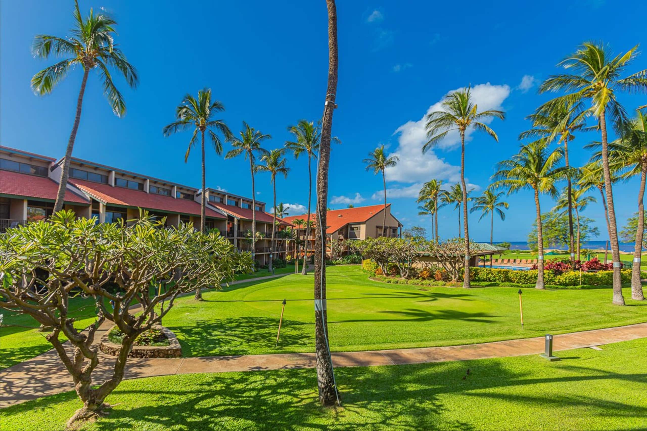 Oceanfront Maui condo w/ double lanai - Photo 40