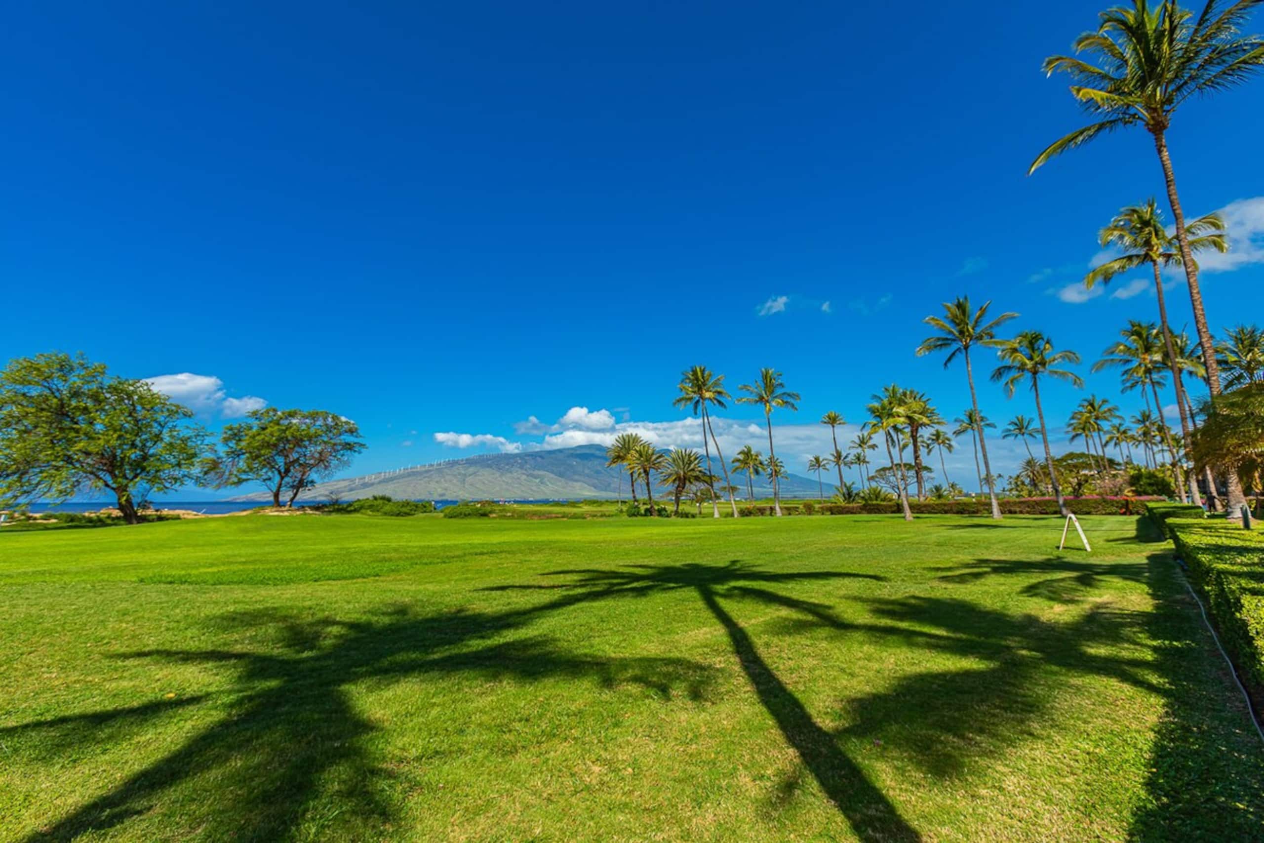 Oceanfront Maui condo w/ double lanai - Photo 45