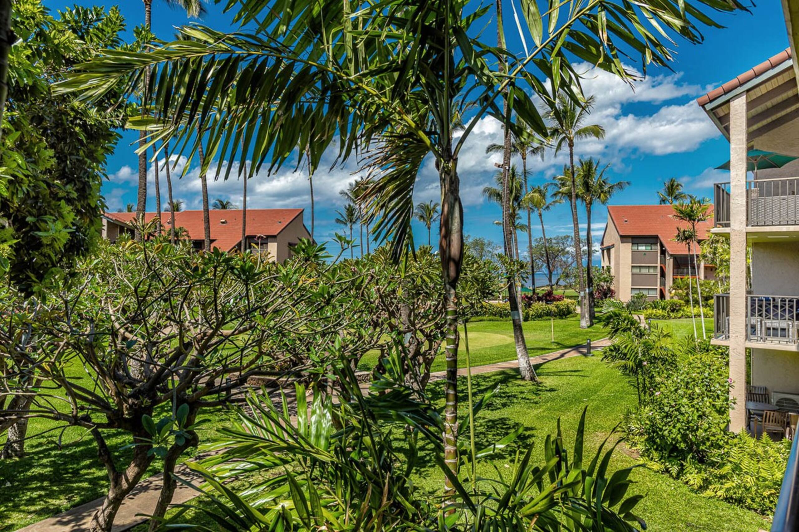 Oceanfront Maui condo w/ double lanai - Photo 6