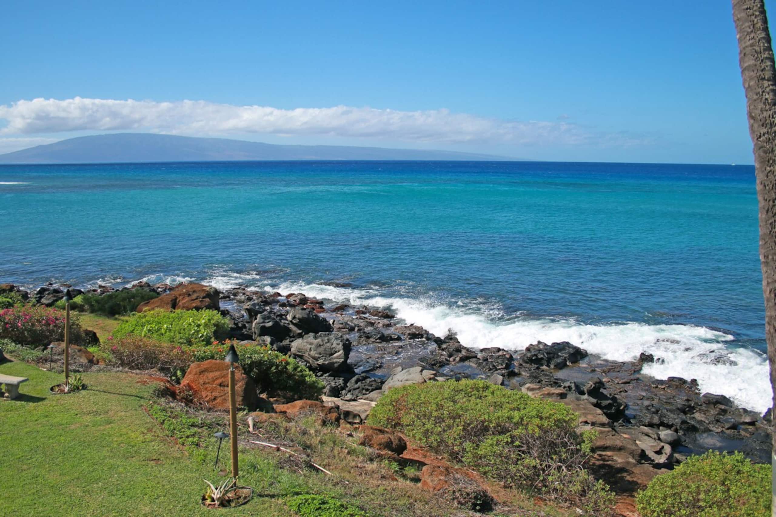 Polynesian Shores 201 Stunning & sleeps 8. Discou - Photo 77