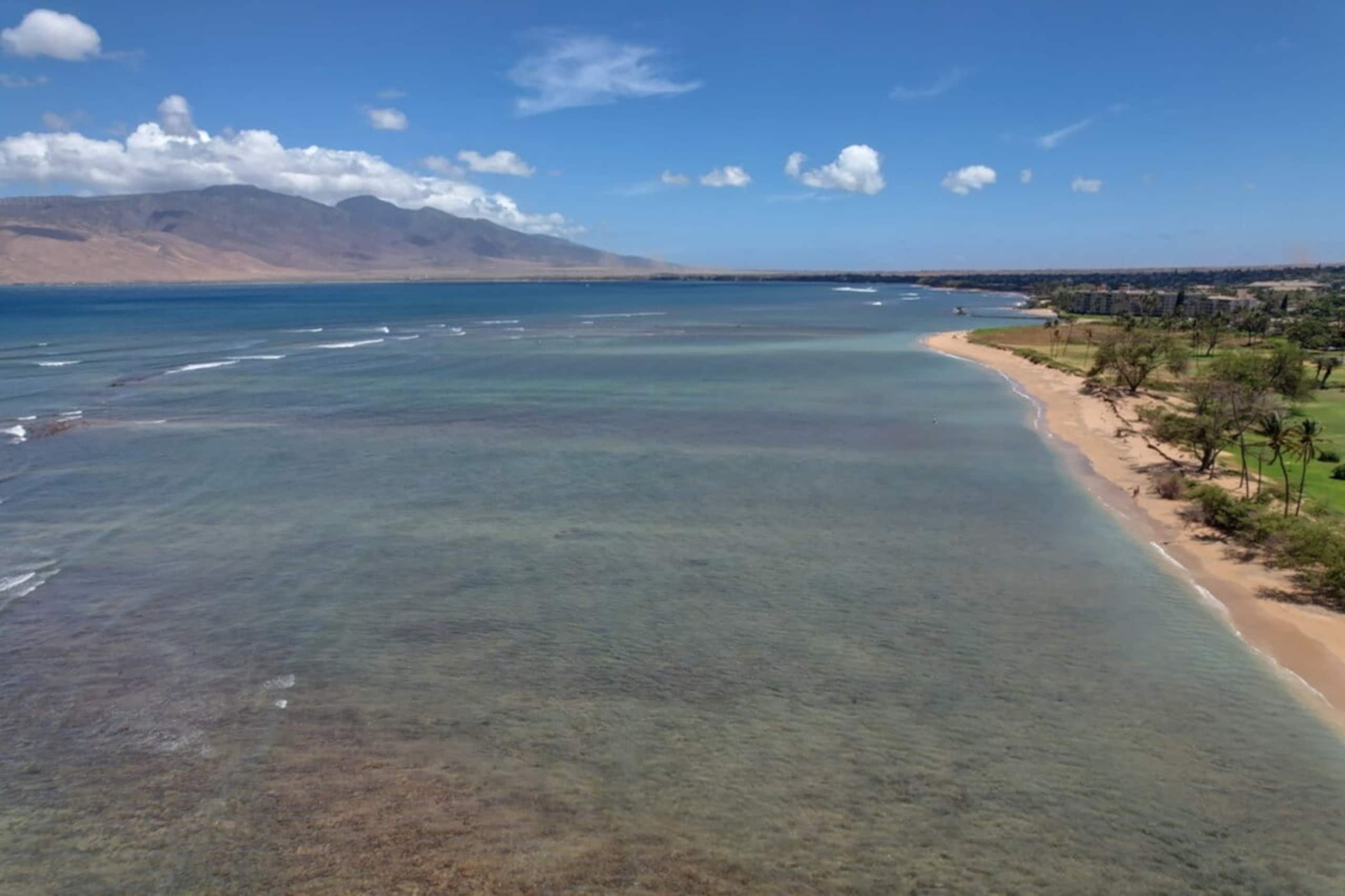 Ocean View Kihei Condo | Walk to Beach & Dining - Photo 42