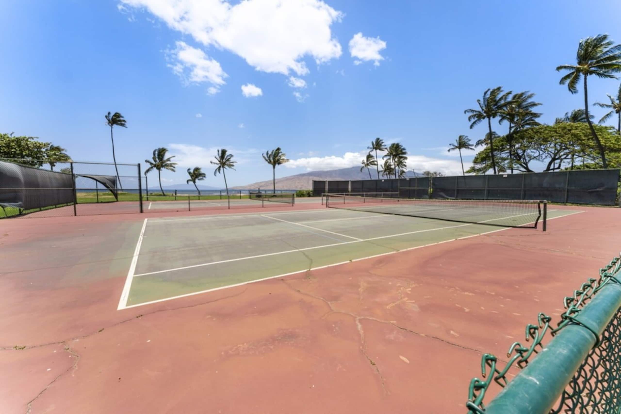 Ocean View Kihei Condo | Walk to Beach & Dining - Photo 32